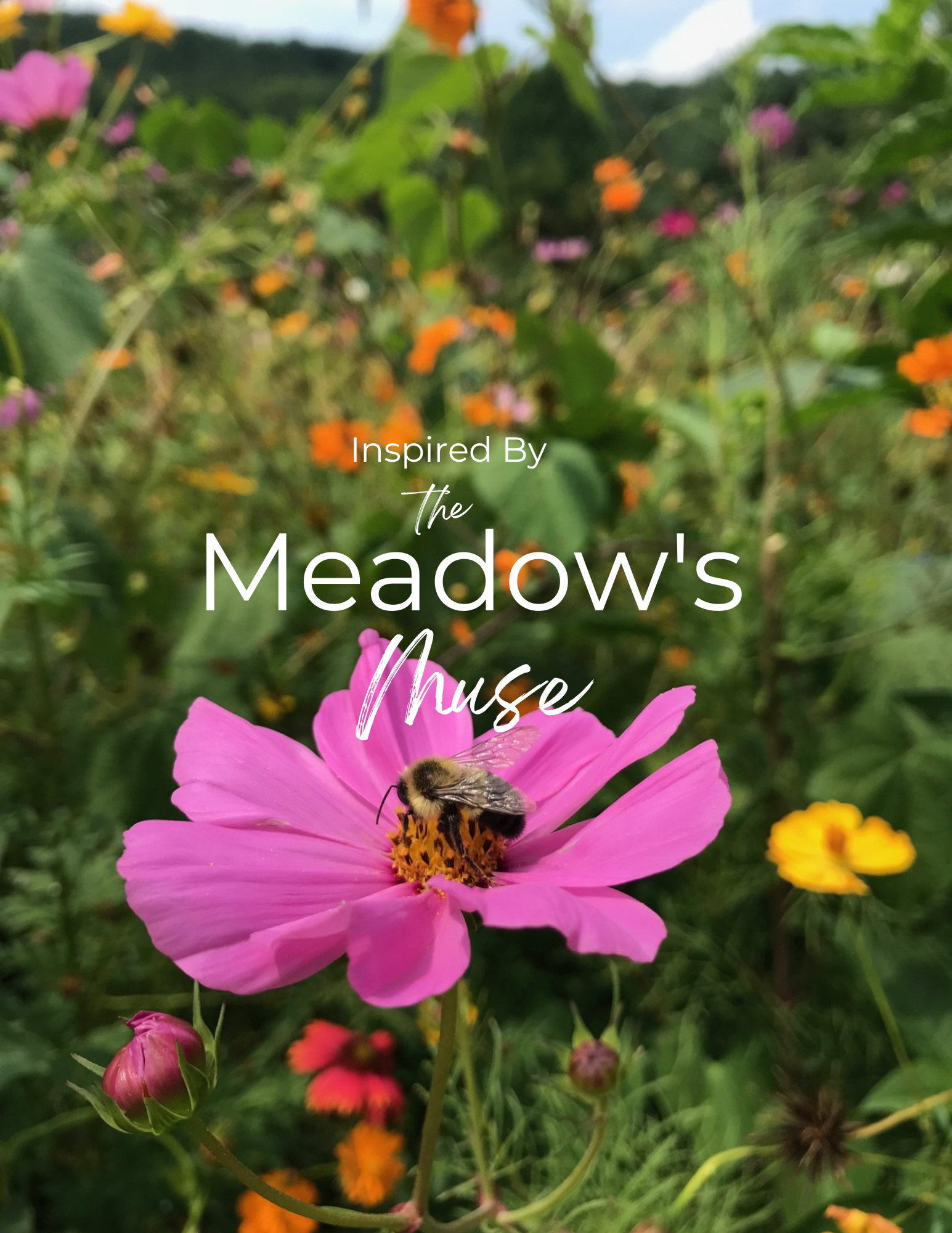 Satin Poster - Bumblebee Pink Cosmos Meadow Wall Art