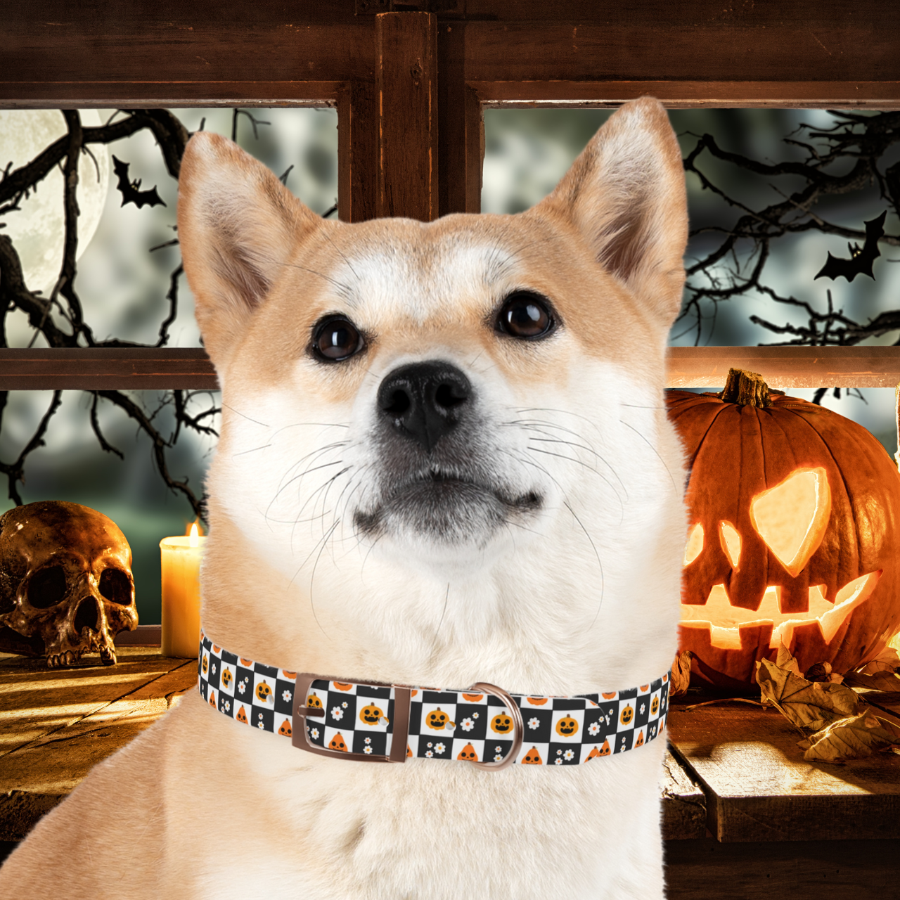 🎃🐕 Black & White Pumpkin Check Halloween Dog Collar – Odor-Proof, Waterproof, & Hypoallergenic! 🖤👻 product thumbnail image 🎃🐕 Black & White Pumpkin Check Halloween Dog Collar – Odor-Proof, Waterproof, & Hypoallergenic! 🖤👻 product thumbnail image