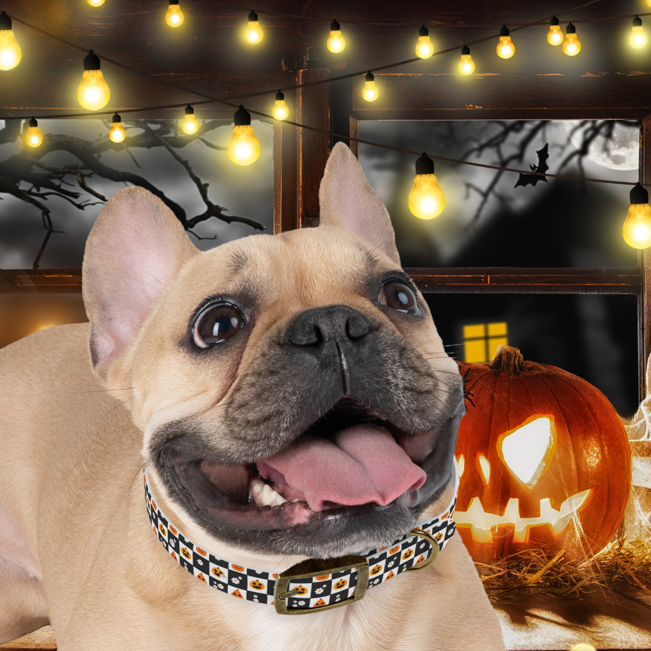 🎃🐕 Black &amp; White Pumpkin Check Halloween Dog Collar – Odor-Proof, Waterproof, &amp; Hypoallergenic! 🖤👻