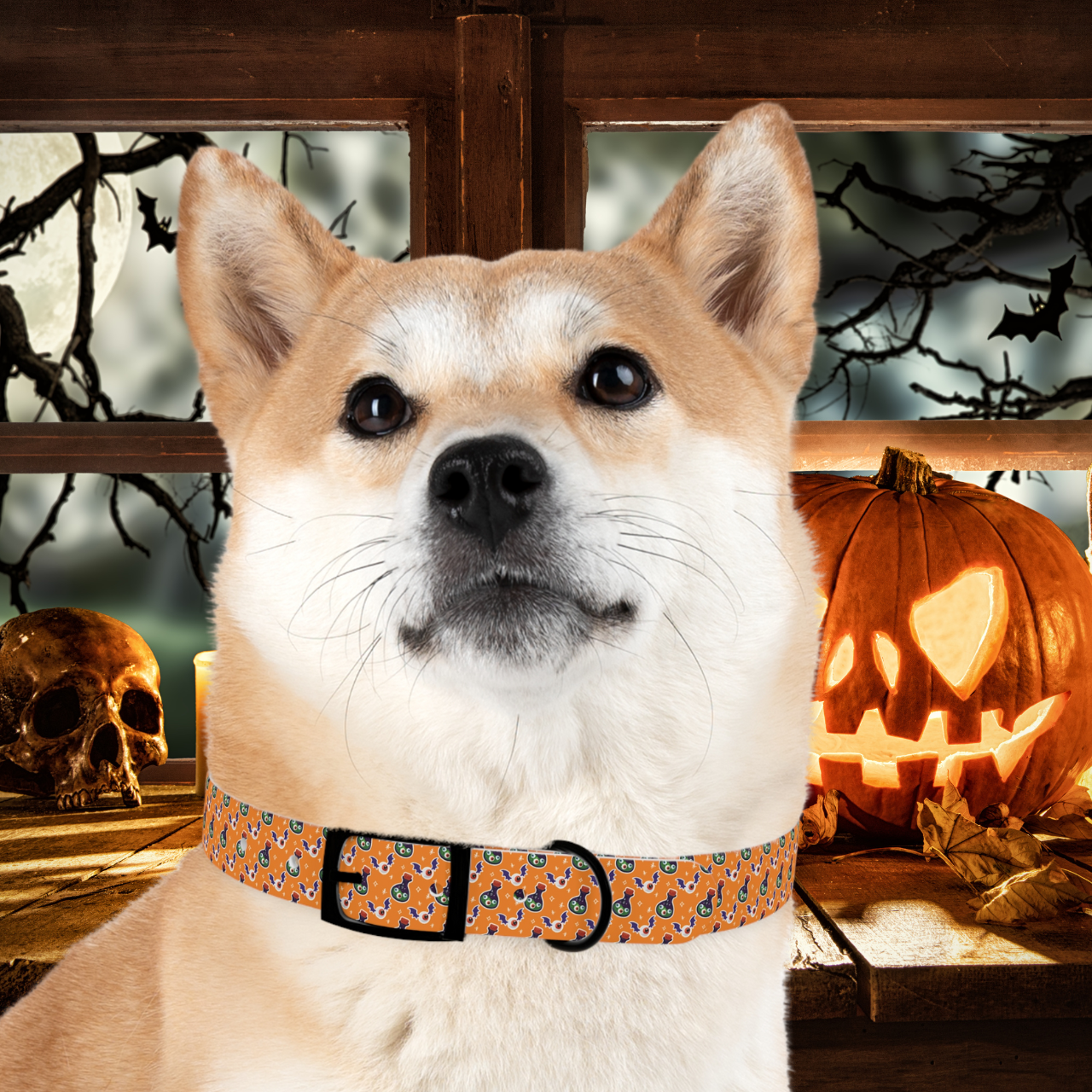 🎃 Potions and Notions Halloween Dog Collar – Customizable, Waterproof, Odor-Proof Pet Collars for Playful Pups 🐾 product thumbnail image 🎃 Potions and Notions Halloween Dog Collar – Customizable, Waterproof, Odor-Proof Pet Collars for Playful Pups 🐾 product thumbnail image