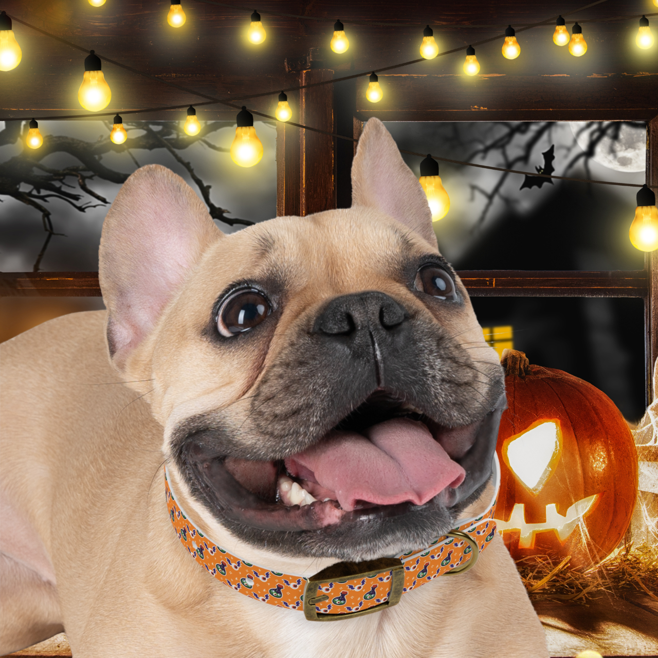 🎃 Potions and Notions Halloween Dog Collar – Customizable, Waterproof, Odor-Proof Pet Collars for Playful Pups 🐾