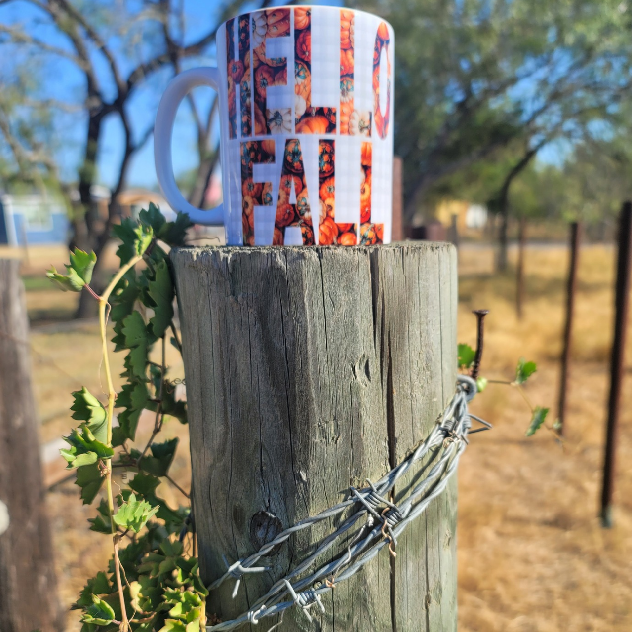 Hello Fall Hello Fall