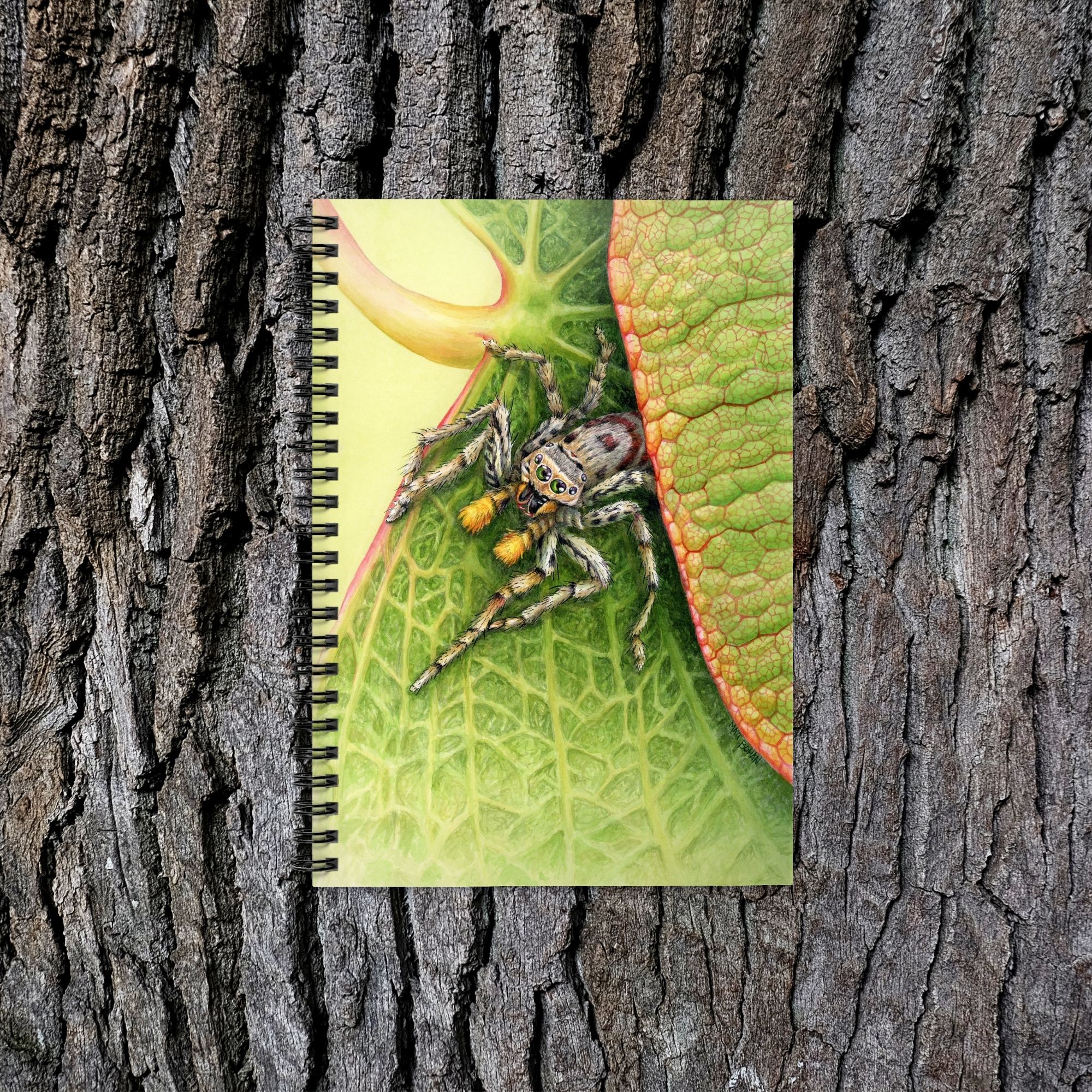 Jumping Spider on Redbud Leaf | 6x8-inch Ruled Line Notebook with Green Cover product thumbnail image Jumping Spider on Redbud Leaf | 6x8-inch Ruled Line Notebook with Green Cover product thumbnail image