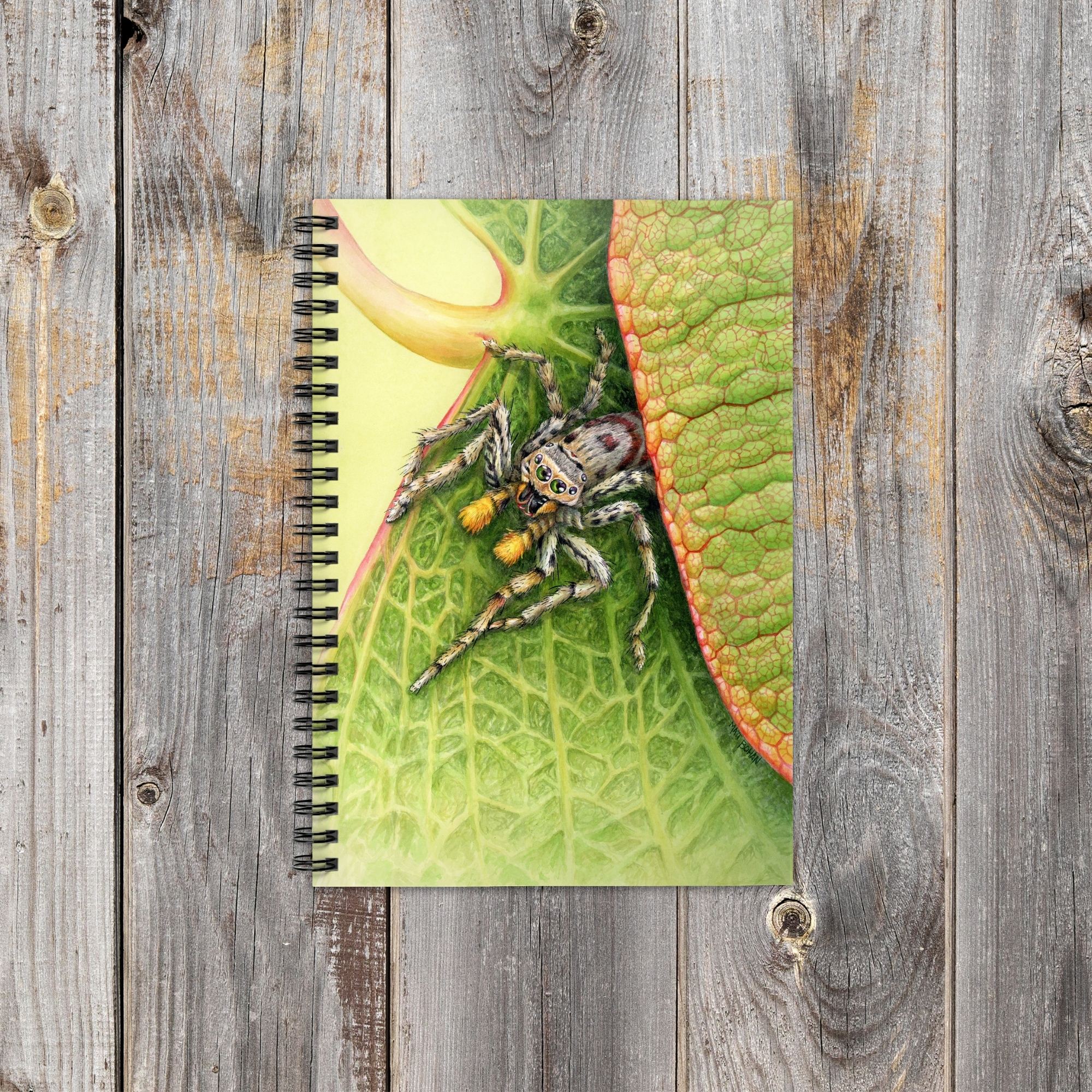 Jumping Spider on Redbud Leaf | 6x8-inch Ruled Line Notebook with Green Cover product thumbnail image Jumping Spider on Redbud Leaf | 6x8-inch Ruled Line Notebook with Green Cover product thumbnail image