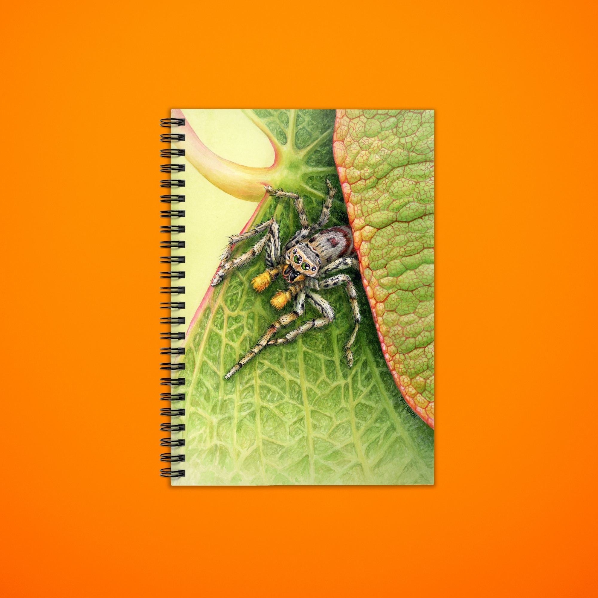 Jumping Spider on Redbud Leaf | 6x8-inch Ruled Line Notebook with Green Cover product thumbnail image Jumping Spider on Redbud Leaf | 6x8-inch Ruled Line Notebook with Green Cover product thumbnail image