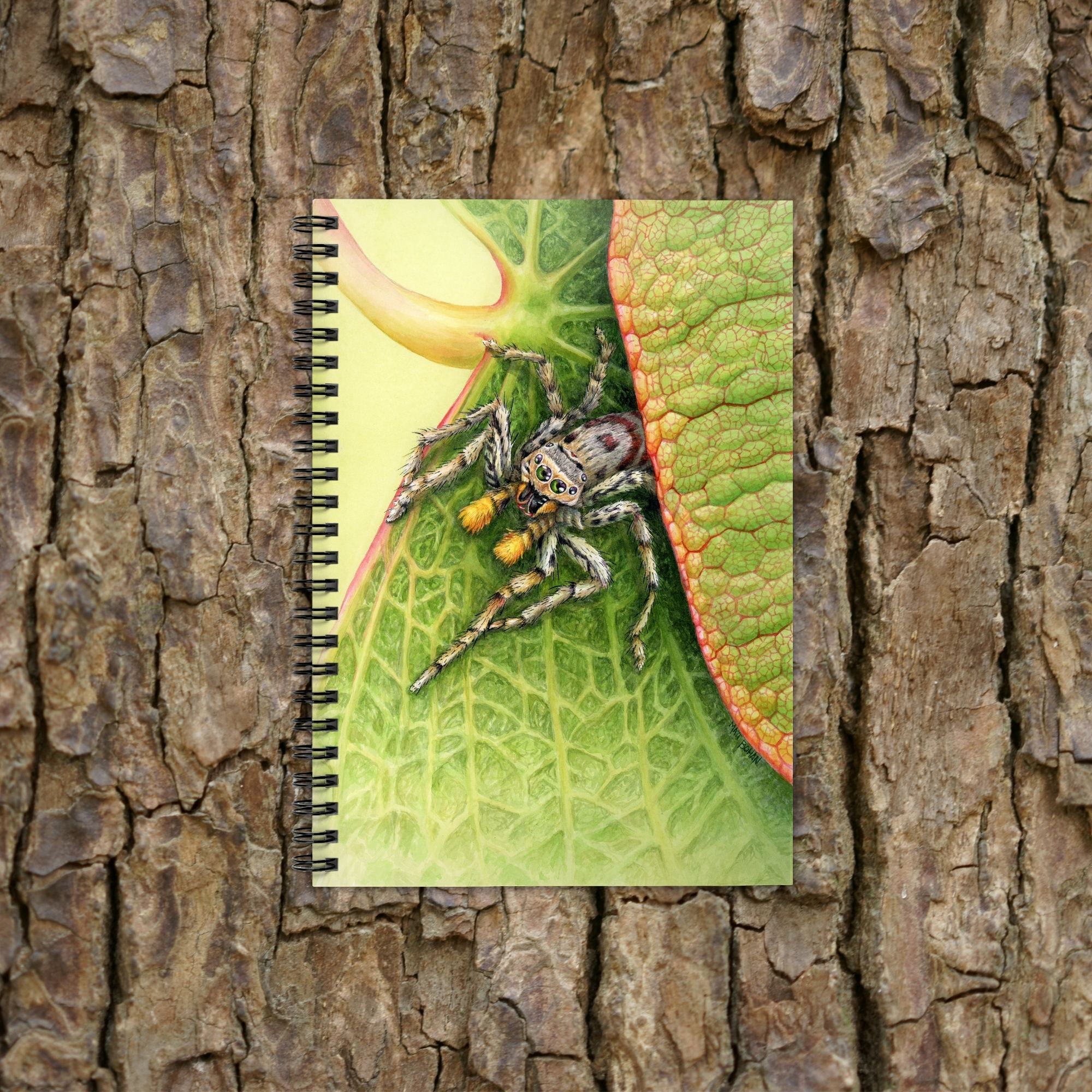 Jumping Spider on Redbud Leaf | 6x8-inch Ruled Line Notebook with Green Cover product thumbnail image Jumping Spider on Redbud Leaf | 6x8-inch Ruled Line Notebook with Green Cover product thumbnail image