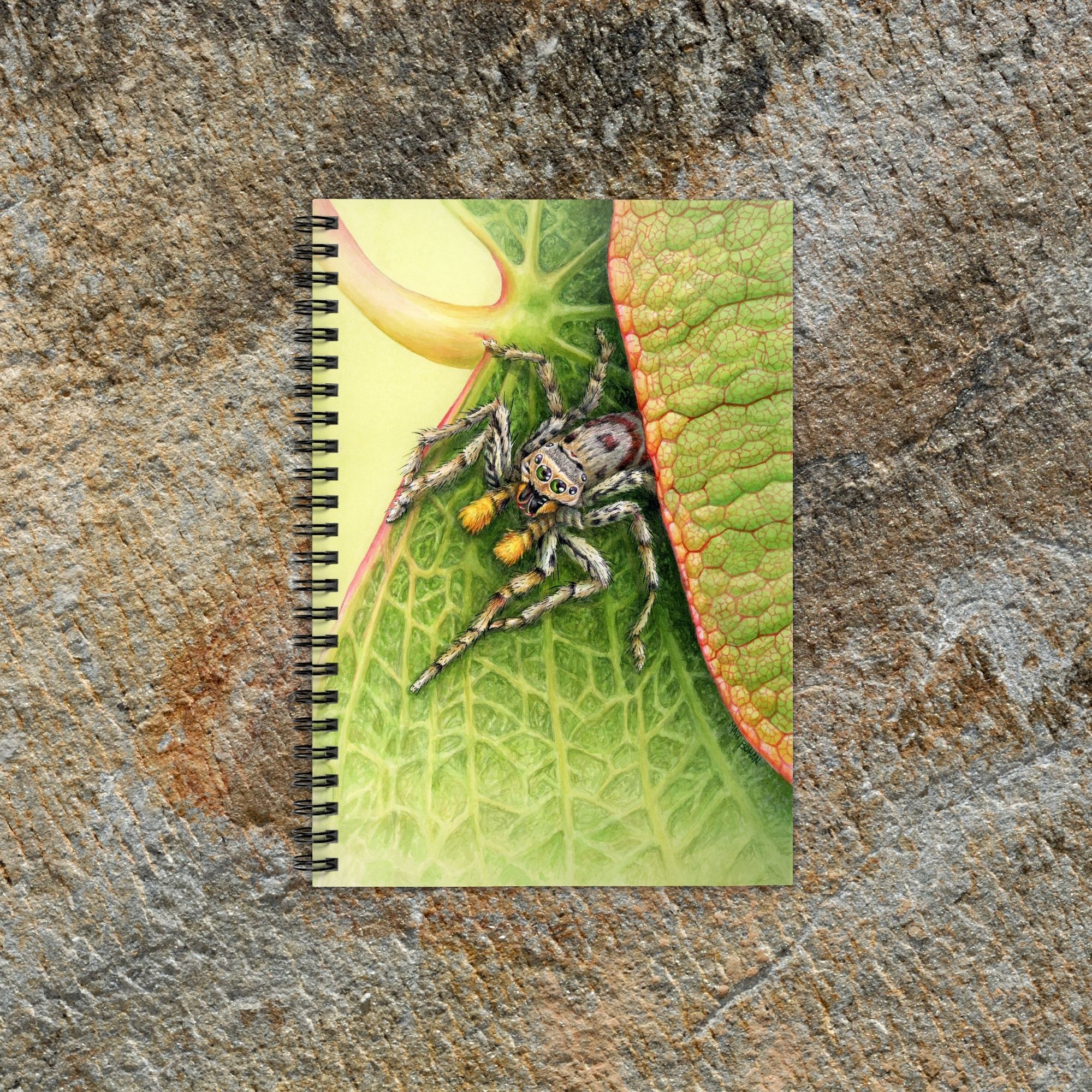 Jumping Spider on Redbud Leaf | 6x8-inch Ruled Line Notebook with Green Cover product thumbnail image Jumping Spider on Redbud Leaf | 6x8-inch Ruled Line Notebook with Green Cover product thumbnail image