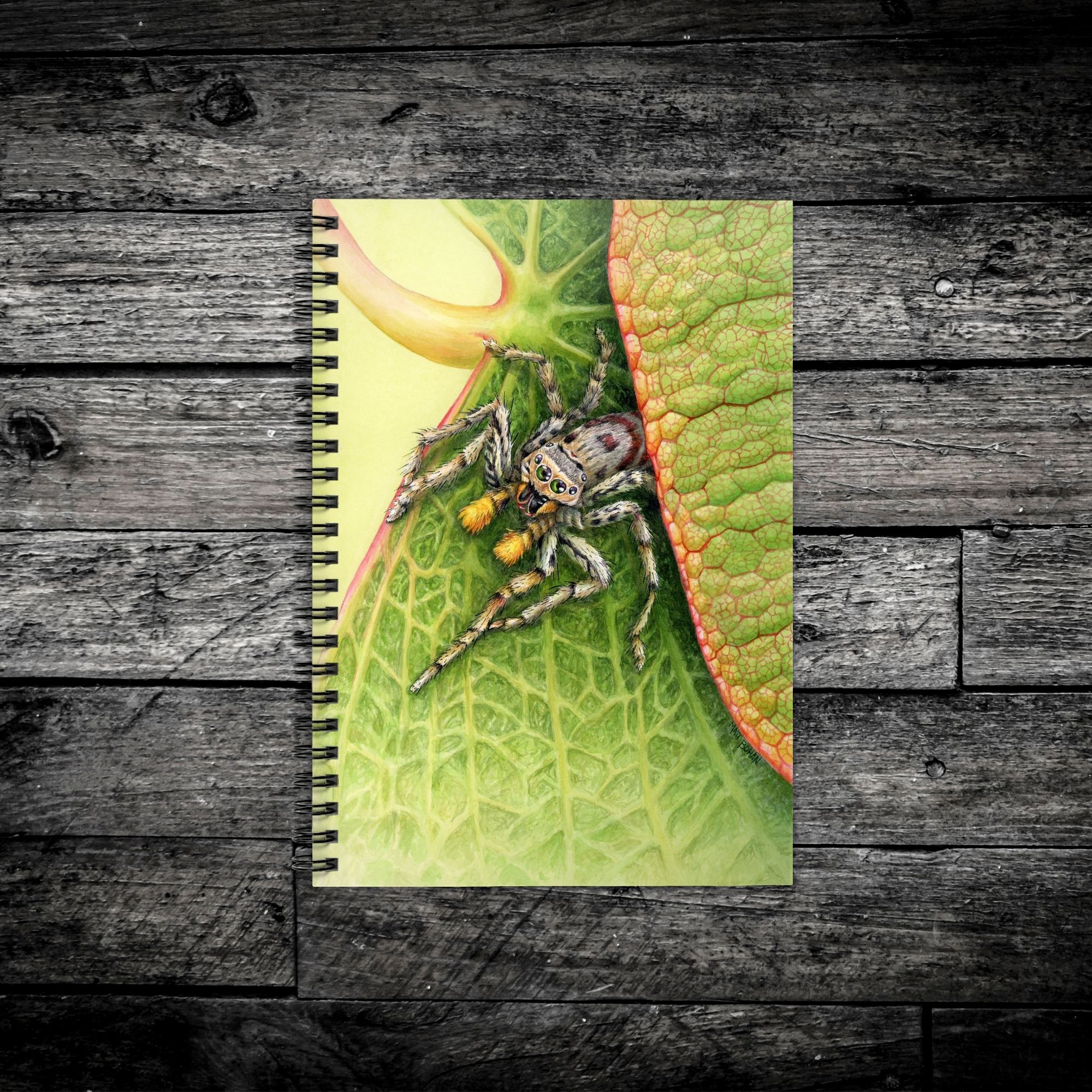 Jumping Spider on Redbud Leaf | 6x8-inch Ruled Line Notebook with Green Cover product thumbnail image Jumping Spider on Redbud Leaf | 6x8-inch Ruled Line Notebook with Green Cover product thumbnail image