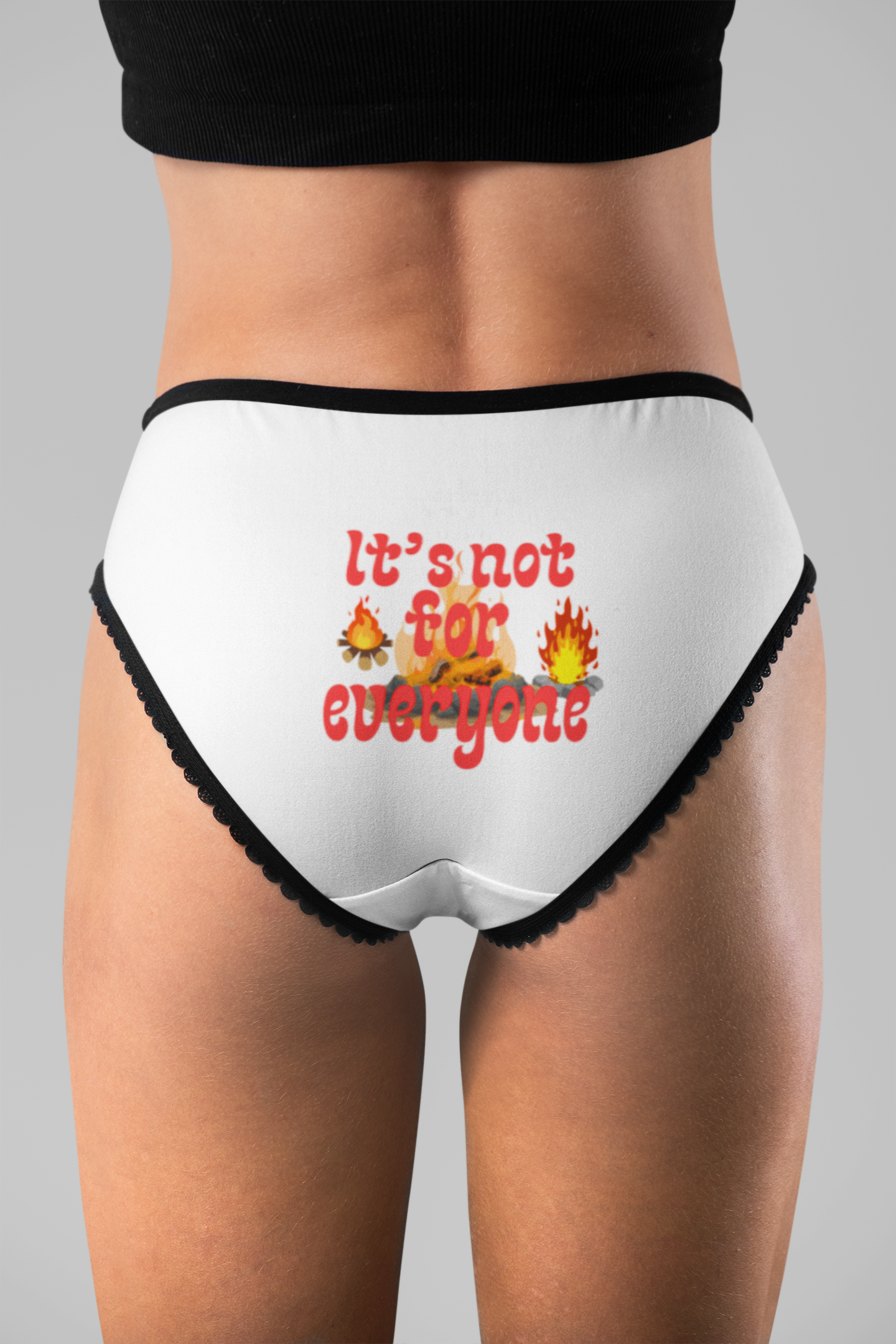Underwear, Women's Briefs: It's Not for Everyone Message, Panties, Lingerie, Funny Undergarments, Gift for Her, Novelty Intimates, Cheeky product thumbnail image