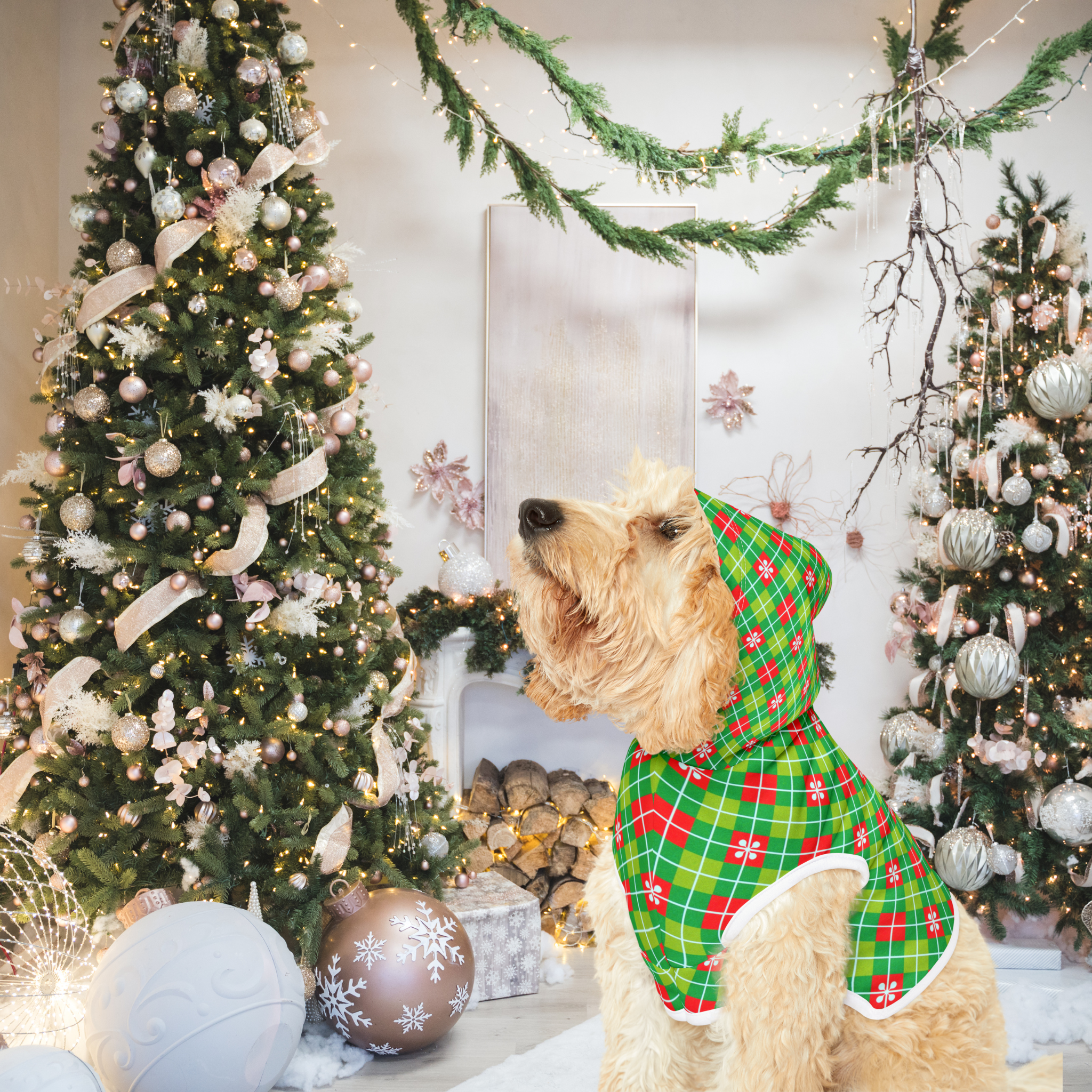 Holiday Pet Hoodie #3 product thumbnail image Holiday Pet Hoodie #3 product thumbnail image