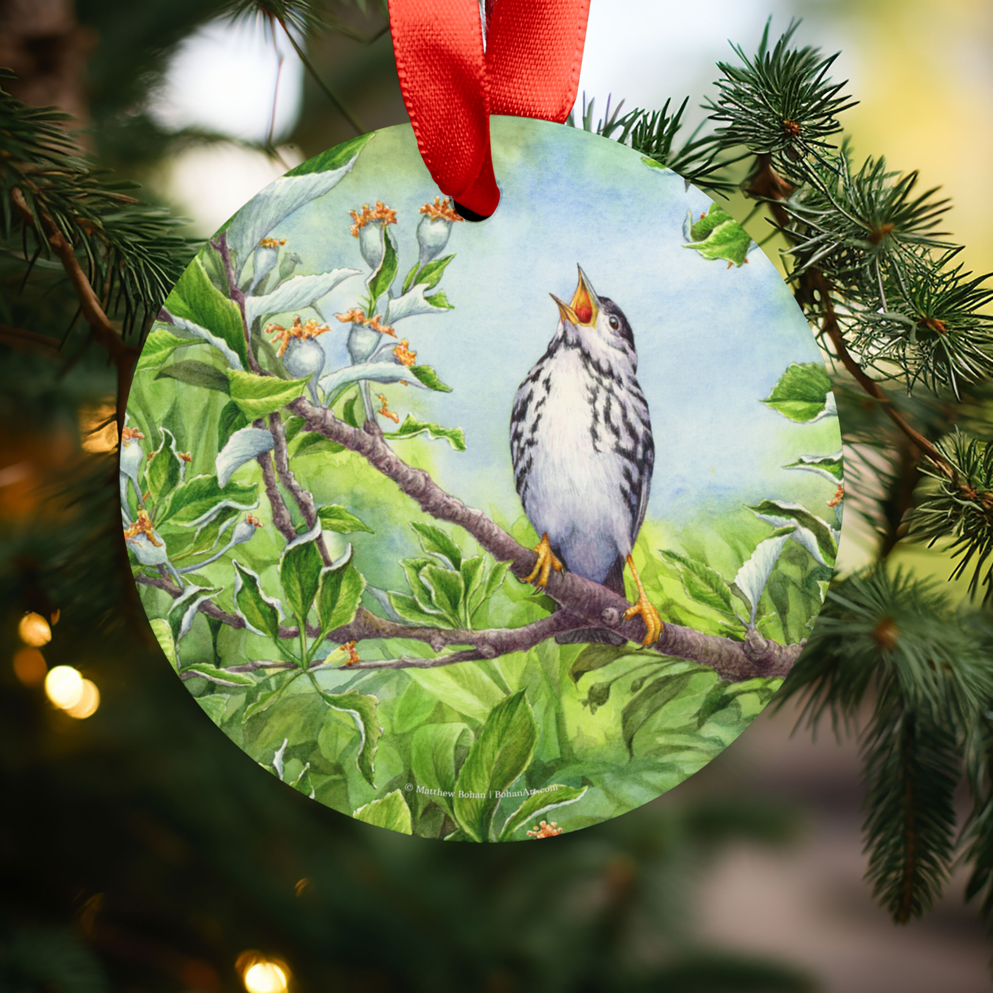 Blackpoll Warbler Christmas Ornament with Red Ribbon | Watercolor Bird Art Decoration | Birder Gift for Nature Lovers | Christmas Tree Decor product thumbnail image