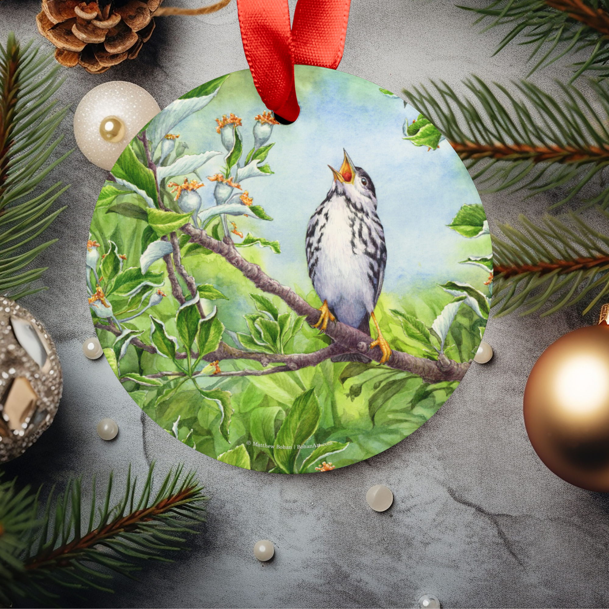 Blackpoll Warbler Christmas Ornament with Red Ribbon | Watercolor Bird Art Decoration | Birder Gift for Nature Lovers | Christmas Tree Decor product thumbnail image