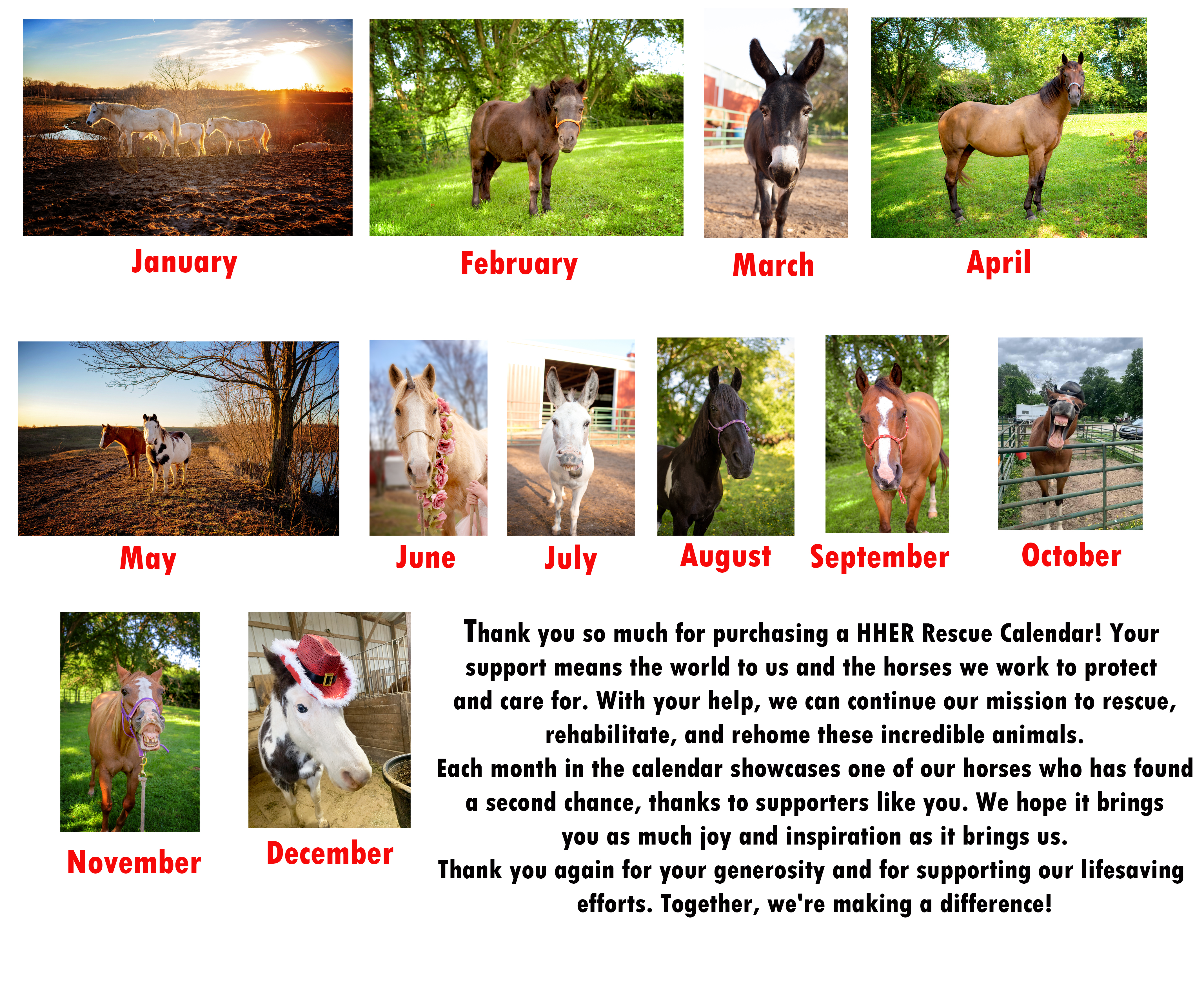 Horses of Happy Hooves Wall Calendar 2025 - Celebrate Your Equine Friends product thumbnail image Horses of Happy Hooves Wall Calendar 2025 - Celebrate Your Equine Friends product thumbnail image