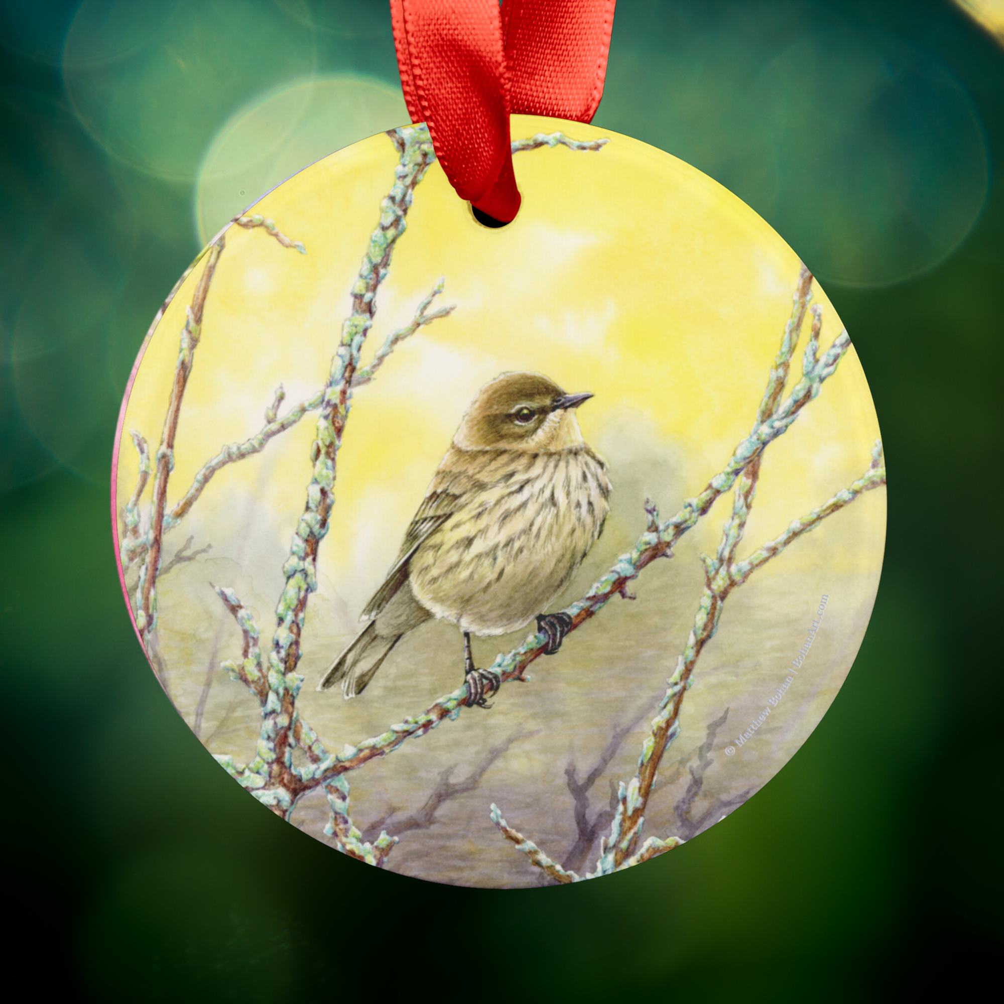Fall Female Yellow-rumped Warbler Christmas Ornament - Birder Tree Ornament, Nature Gift for Bird Lovers product thumbnail image Fall Female Yellow-rumped Warbler Christmas Ornament - Birder Tree Ornament, Nature Gift for Bird Lovers product thumbnail image