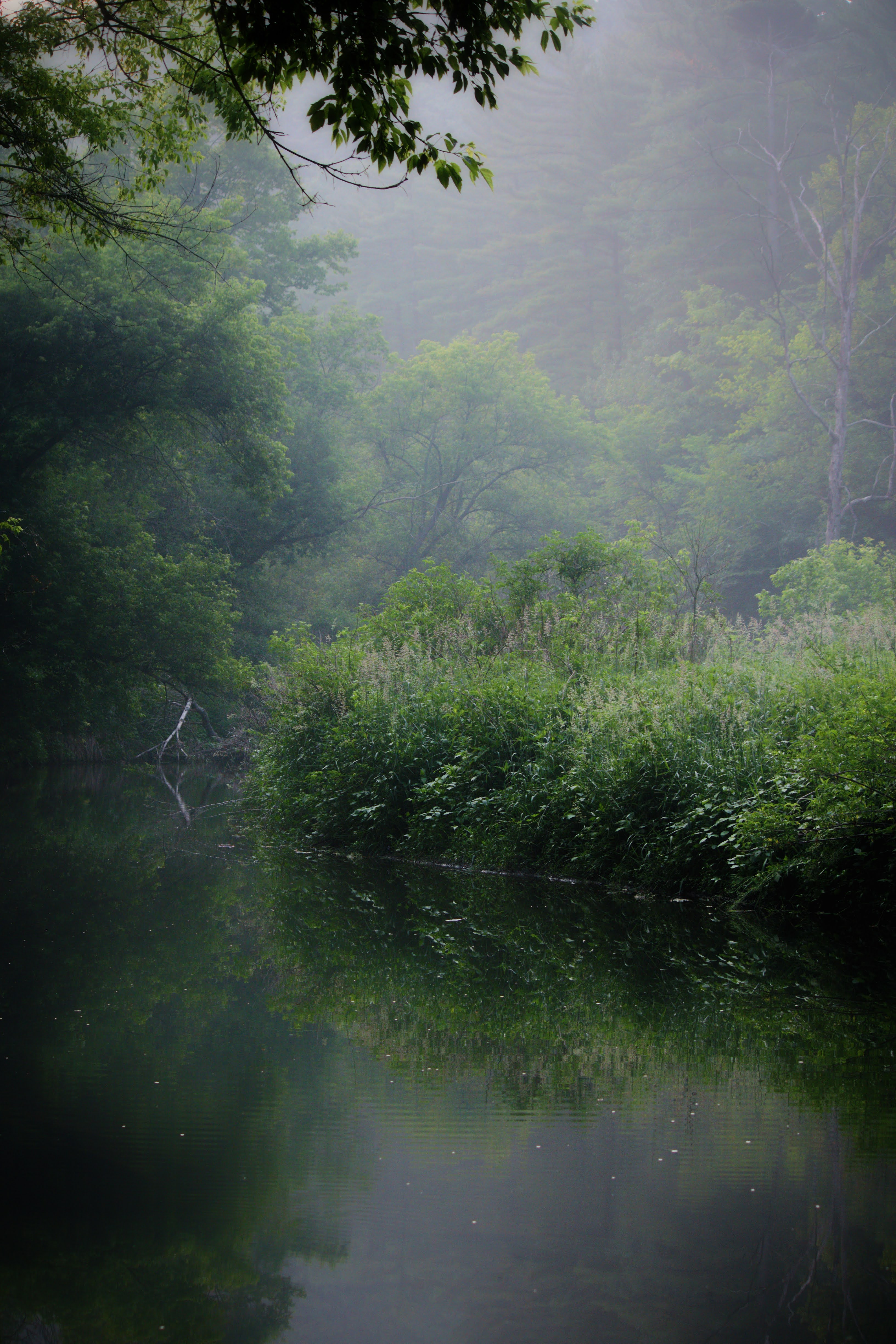 Whitewater River - Canvas Whitewater River - Canvas