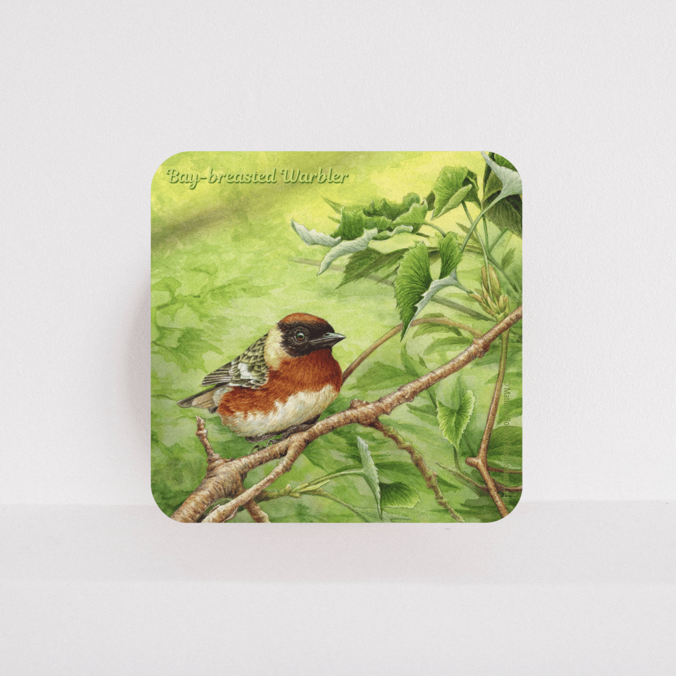 Bay-breasted Warbler Cork Coaster | Watercolor Bird Art | Nature-Inspired Home Decor | Birder Christmas Gift | Wildlife-Themed Drink Coaster product thumbnail image Bay-breasted Warbler Cork Coaster | Watercolor Bird Art | Nature-Inspired Home Decor | Birder Christmas Gift | Wildlife-Themed Drink Coaster product thumbnail image