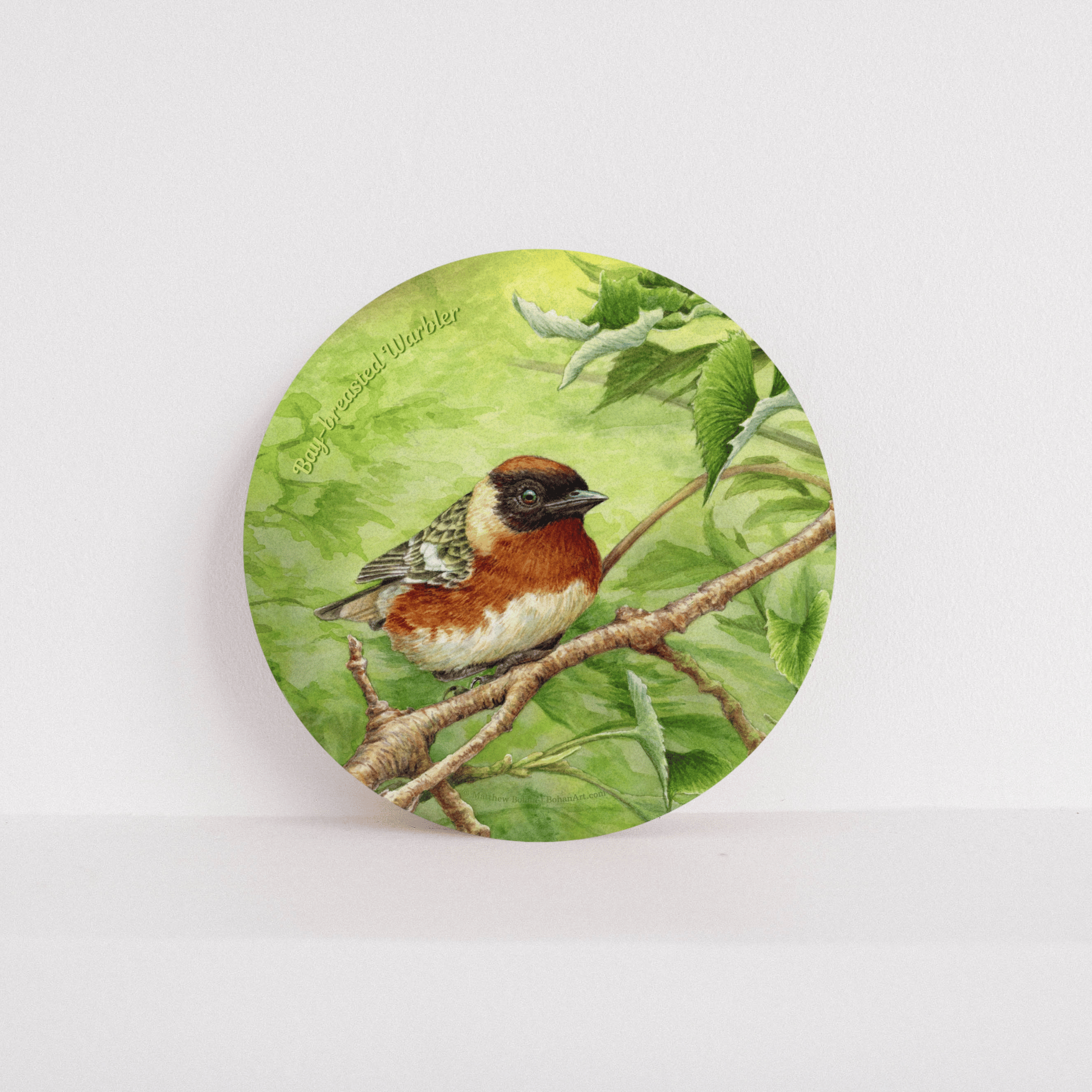Bay-breasted Warbler Cork Coaster | Watercolor Bird Art | Nature-Inspired Home Decor | Birder Christmas Gift | Wildlife-Themed Drink Coaster product thumbnail image Bay-breasted Warbler Cork Coaster | Watercolor Bird Art | Nature-Inspired Home Decor | Birder Christmas Gift | Wildlife-Themed Drink Coaster product thumbnail image