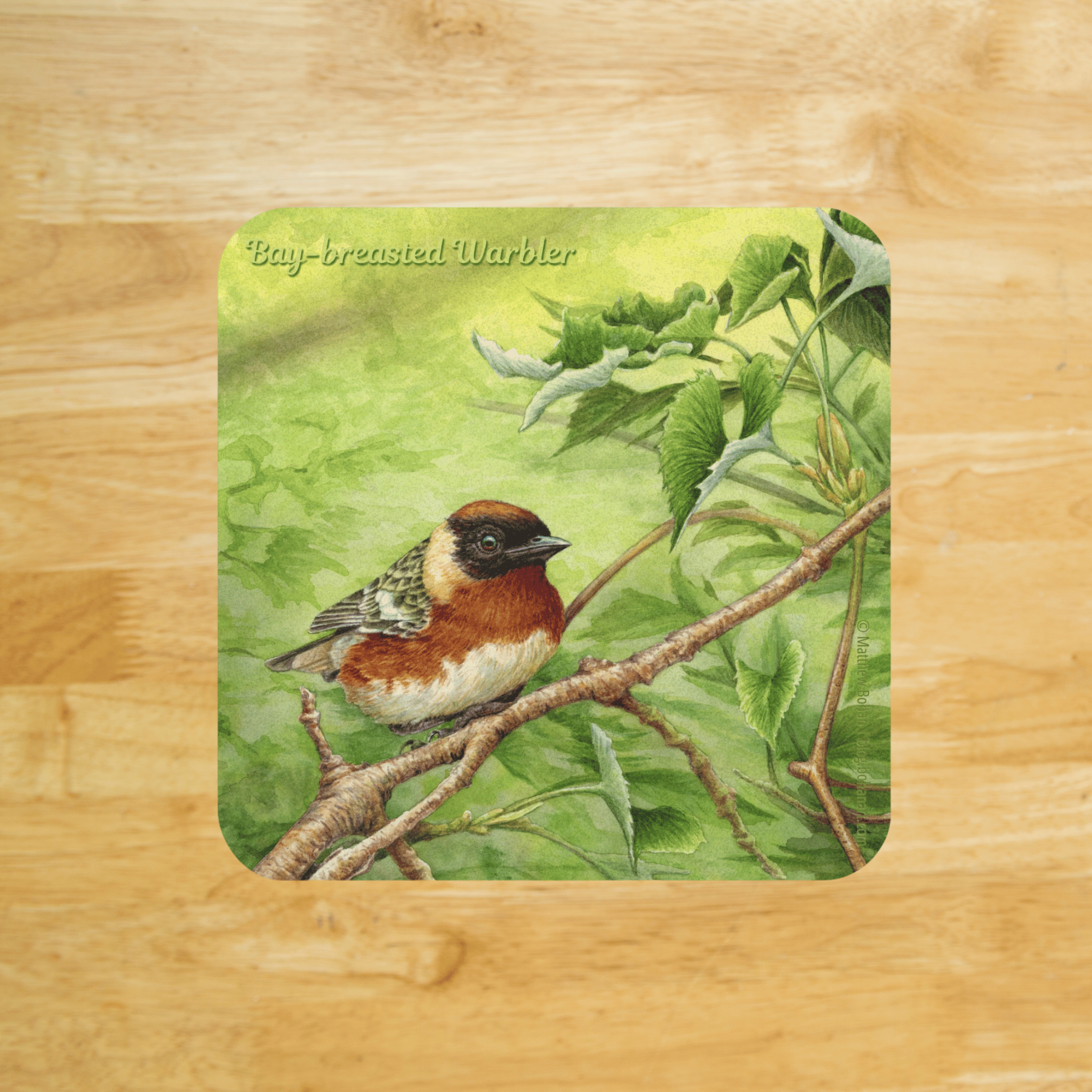 Bay-breasted Warbler Cork Coaster | Watercolor Bird Art | Nature-Inspired Home Decor | Birder Christmas Gift | Wildlife-Themed Drink Coaster product thumbnail image Bay-breasted Warbler Cork Coaster | Watercolor Bird Art | Nature-Inspired Home Decor | Birder Christmas Gift | Wildlife-Themed Drink Coaster product thumbnail image