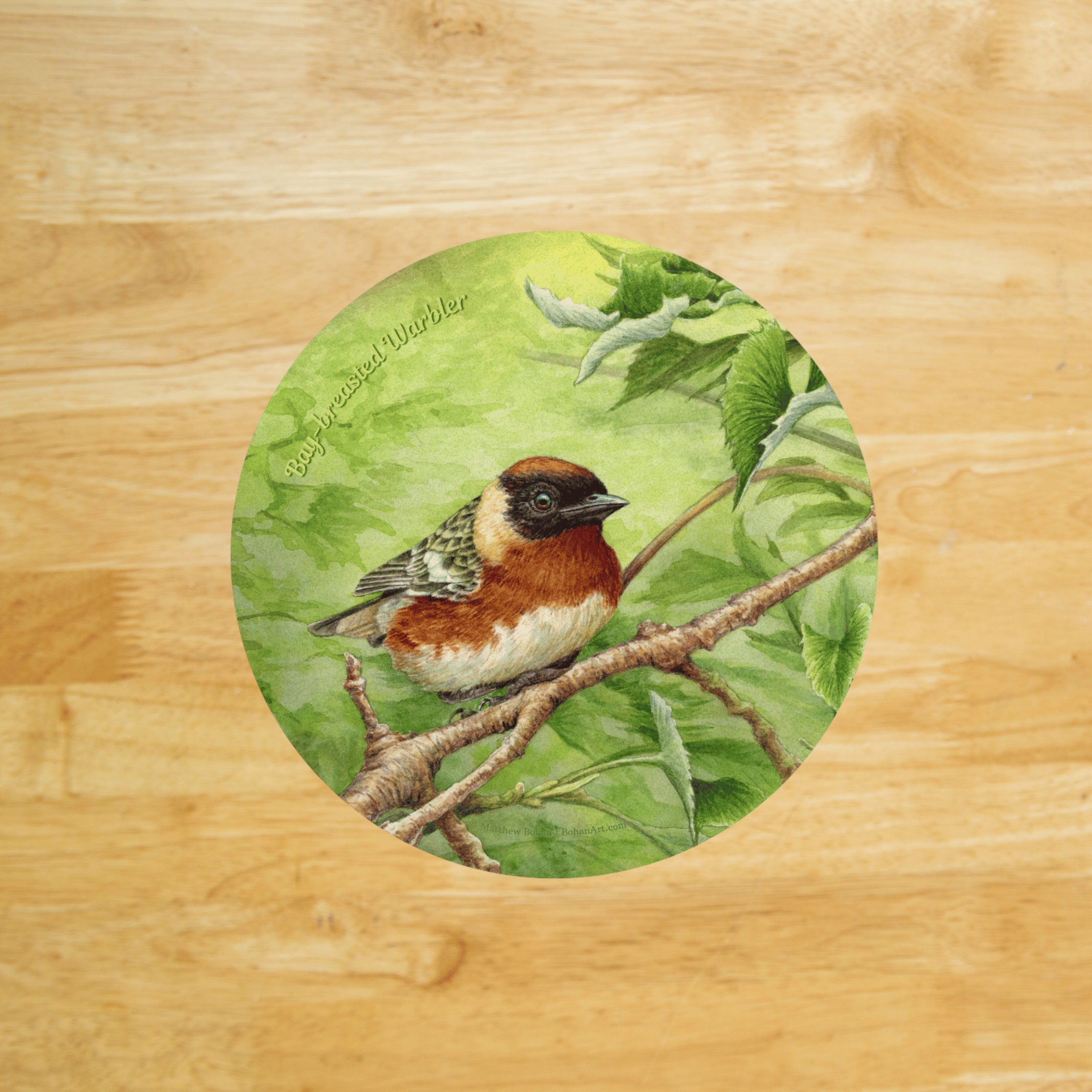 Bay-breasted Warbler Cork Coaster | Watercolor Bird Art | Nature-Inspired Home Decor | Birder Christmas Gift | Wildlife-Themed Drink Coaster product thumbnail image Bay-breasted Warbler Cork Coaster | Watercolor Bird Art | Nature-Inspired Home Decor | Birder Christmas Gift | Wildlife-Themed Drink Coaster product thumbnail image