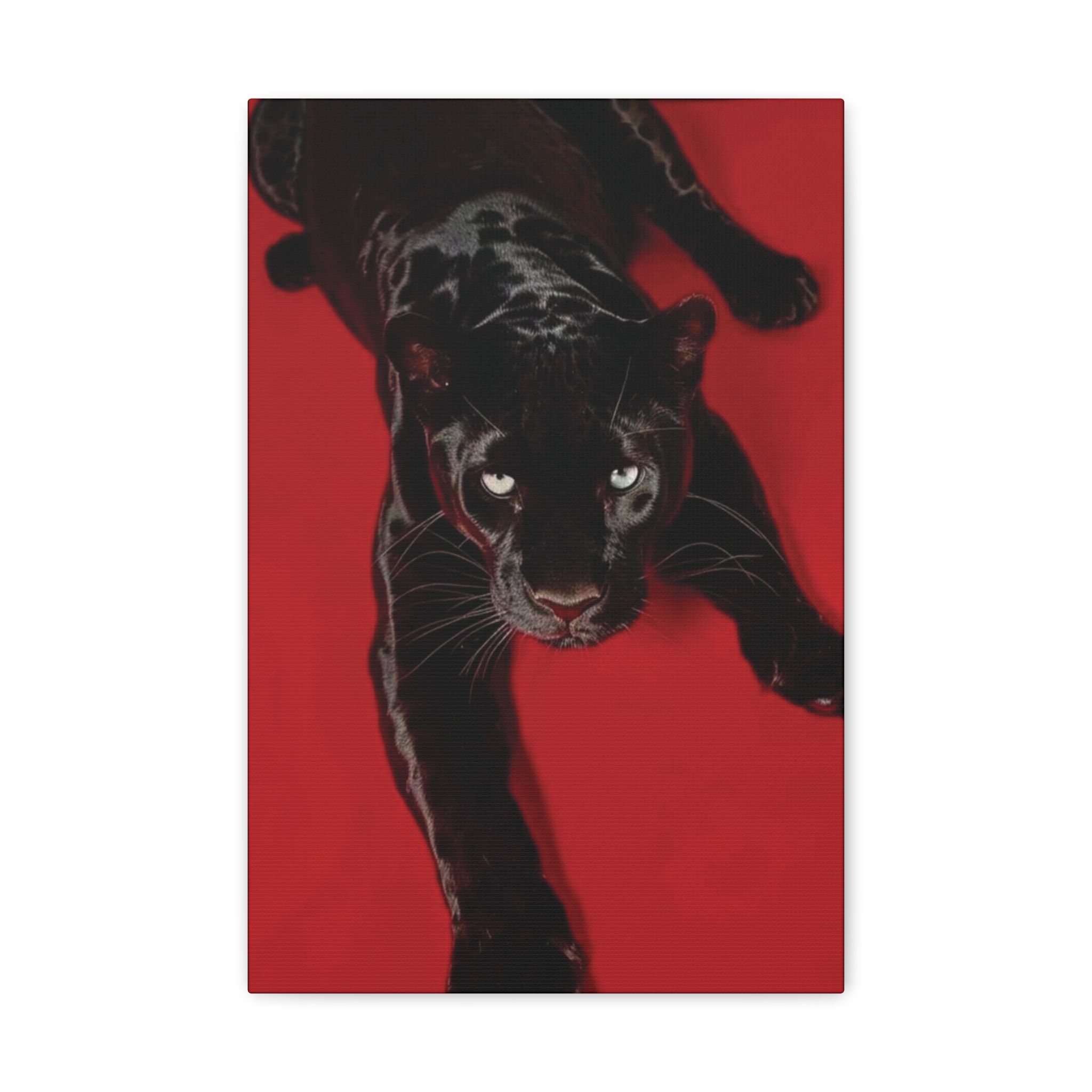 Cherry in Black product thumbnail image Cherry in Black product thumbnail image