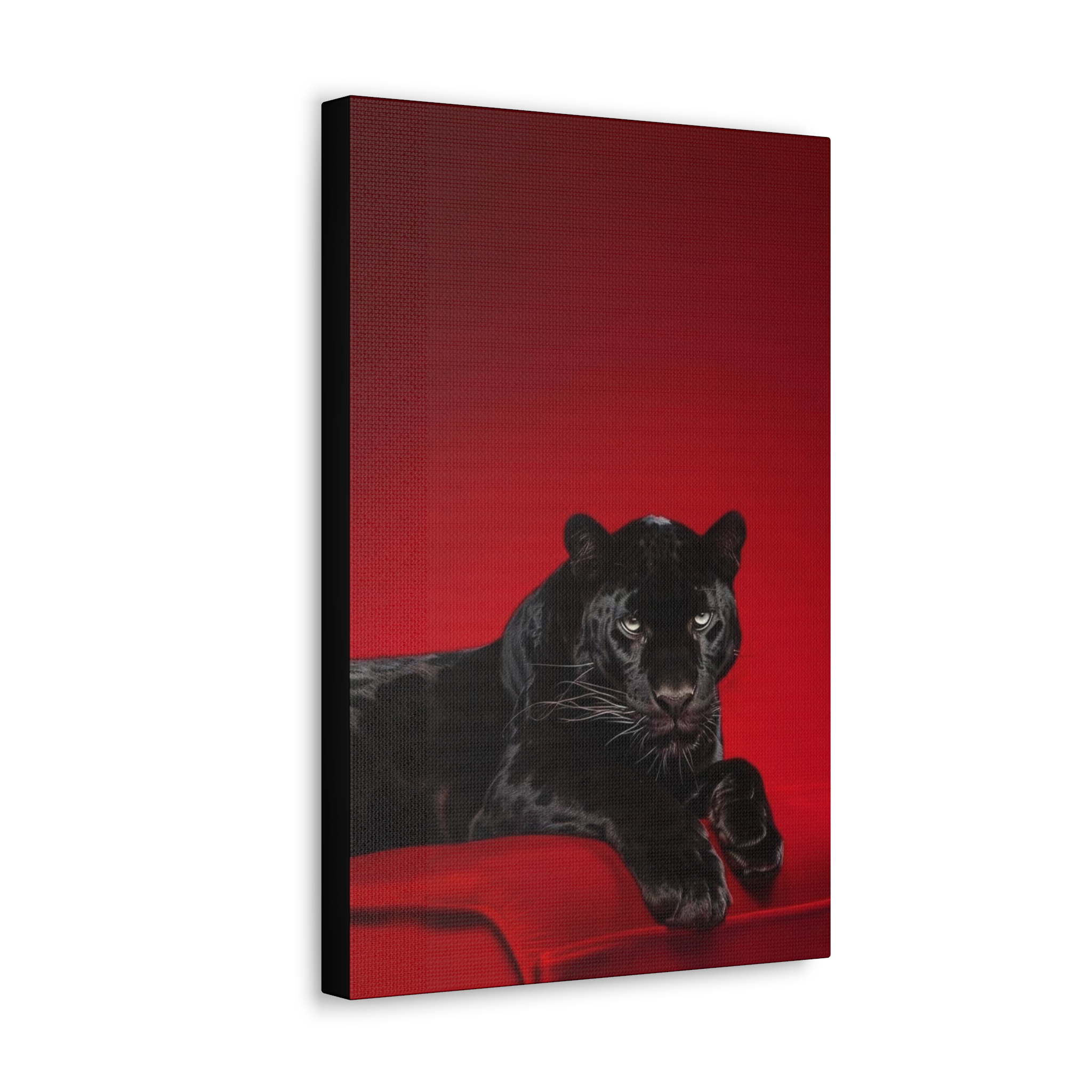 Cherry In Black (2)