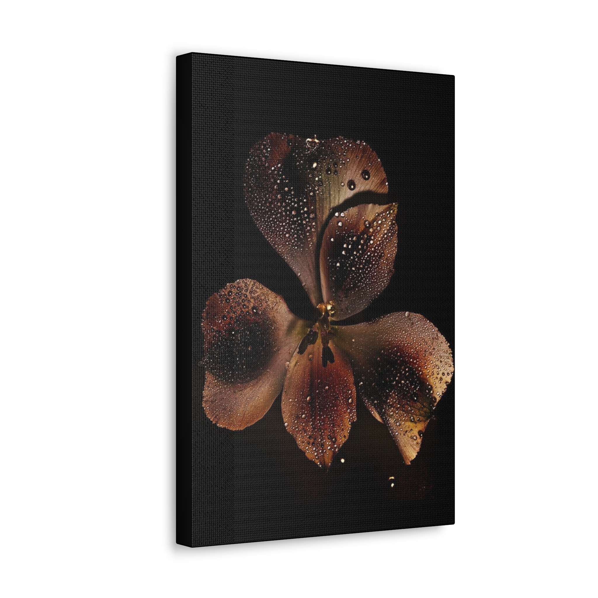 Rosa-Sinensis product thumbnail image Rosa-Sinensis product thumbnail image