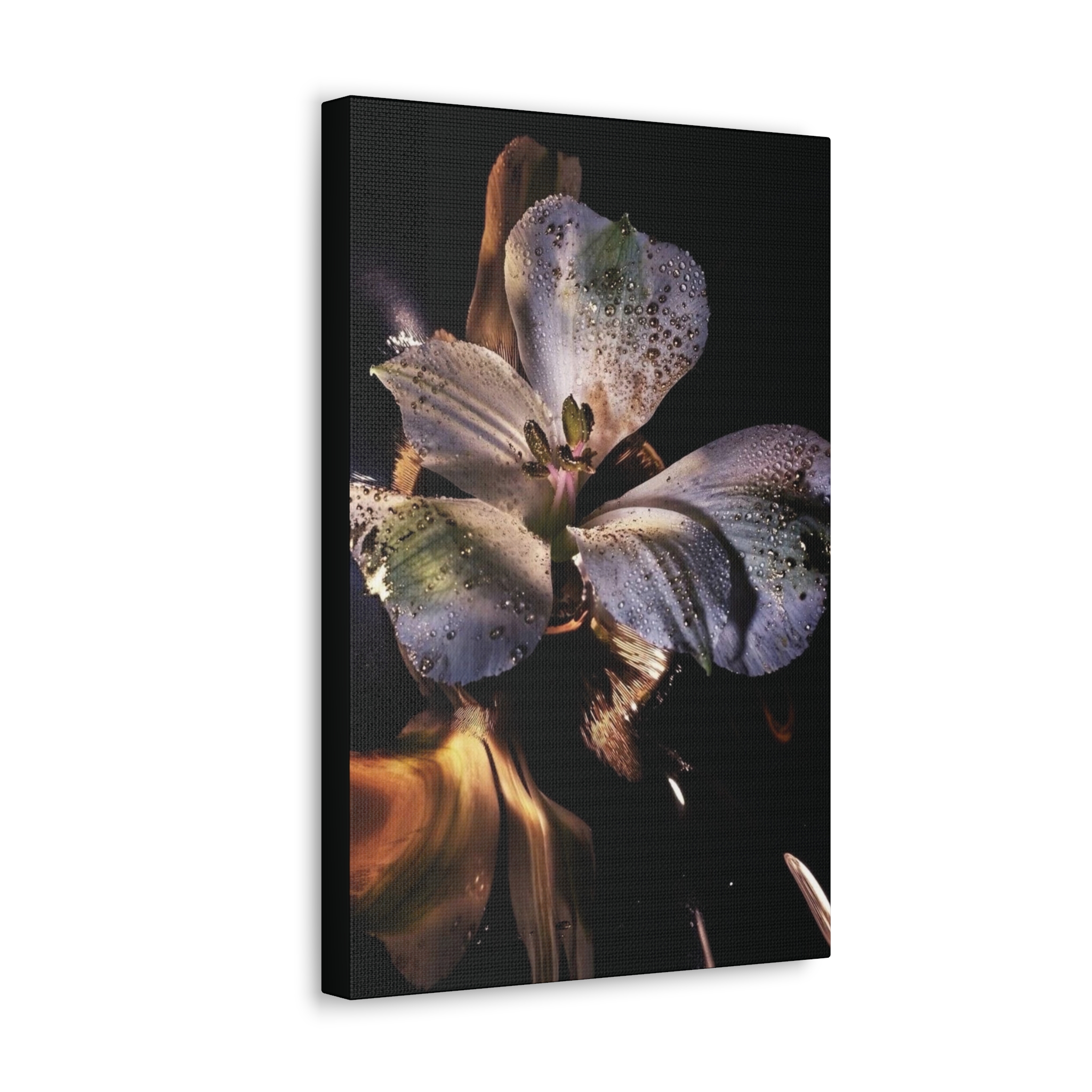 Rosa-Sinensis (2) product thumbnail image Rosa-Sinensis (2) product thumbnail image