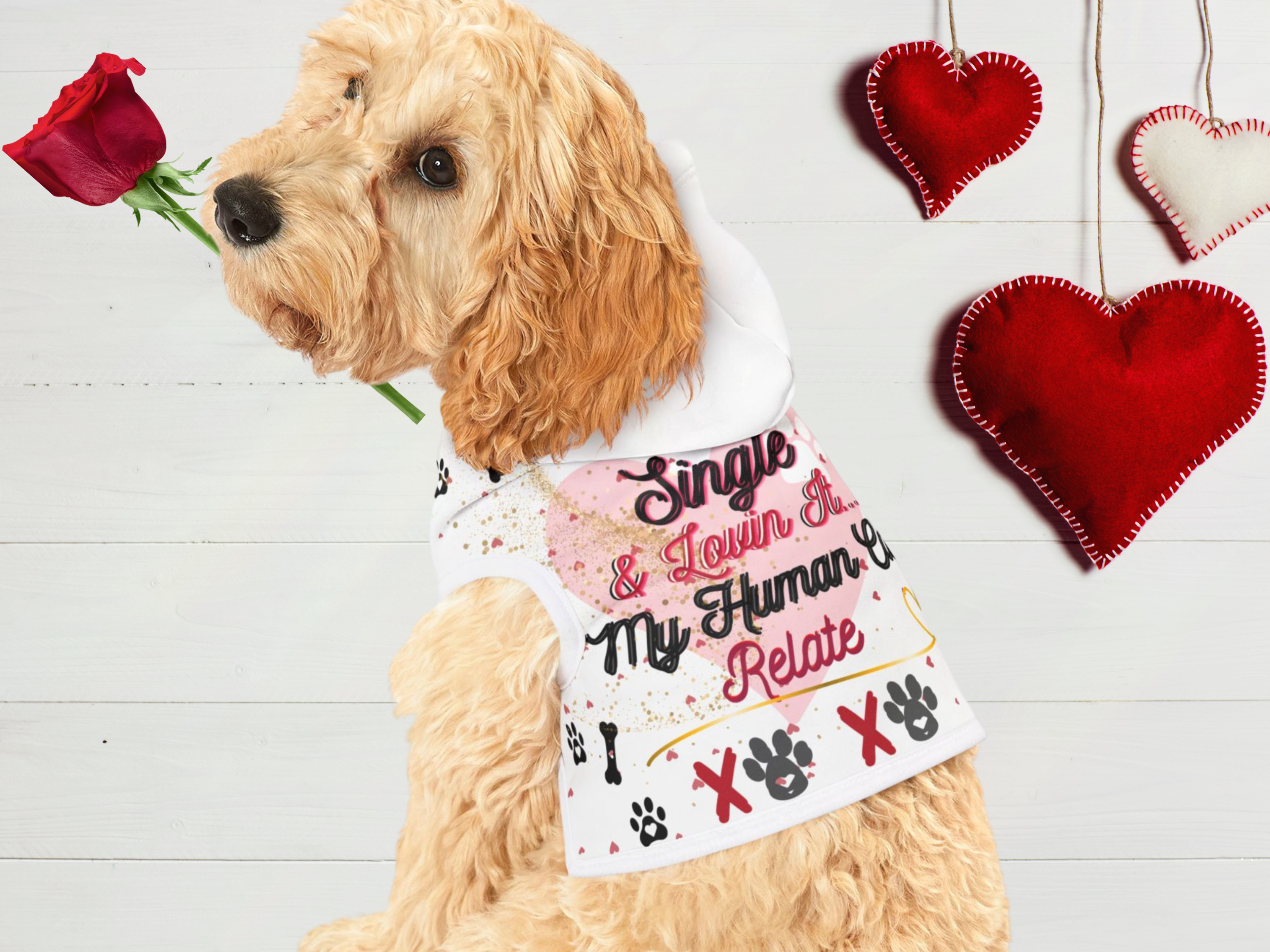 Pet Hoodie – Cute & Funny Dog Outfit – Valentines Day or Everyday Gift for Dog Lovers product thumbnail image Pet Hoodie – Cute & Funny Dog Outfit – Valentines Day or Everyday Gift for Dog Lovers product thumbnail image