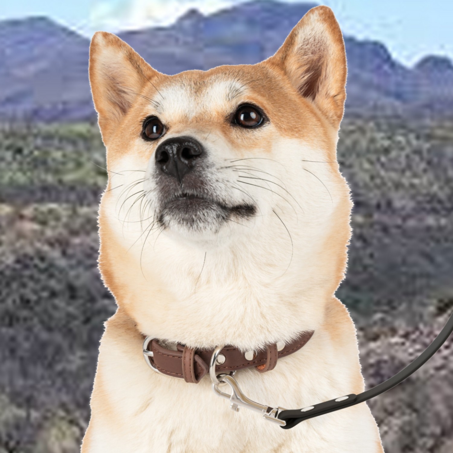 Dog Leash - From A Spark in the Dark Campground! product thumbnail image Dog Leash - From A Spark in the Dark Campground! product thumbnail image