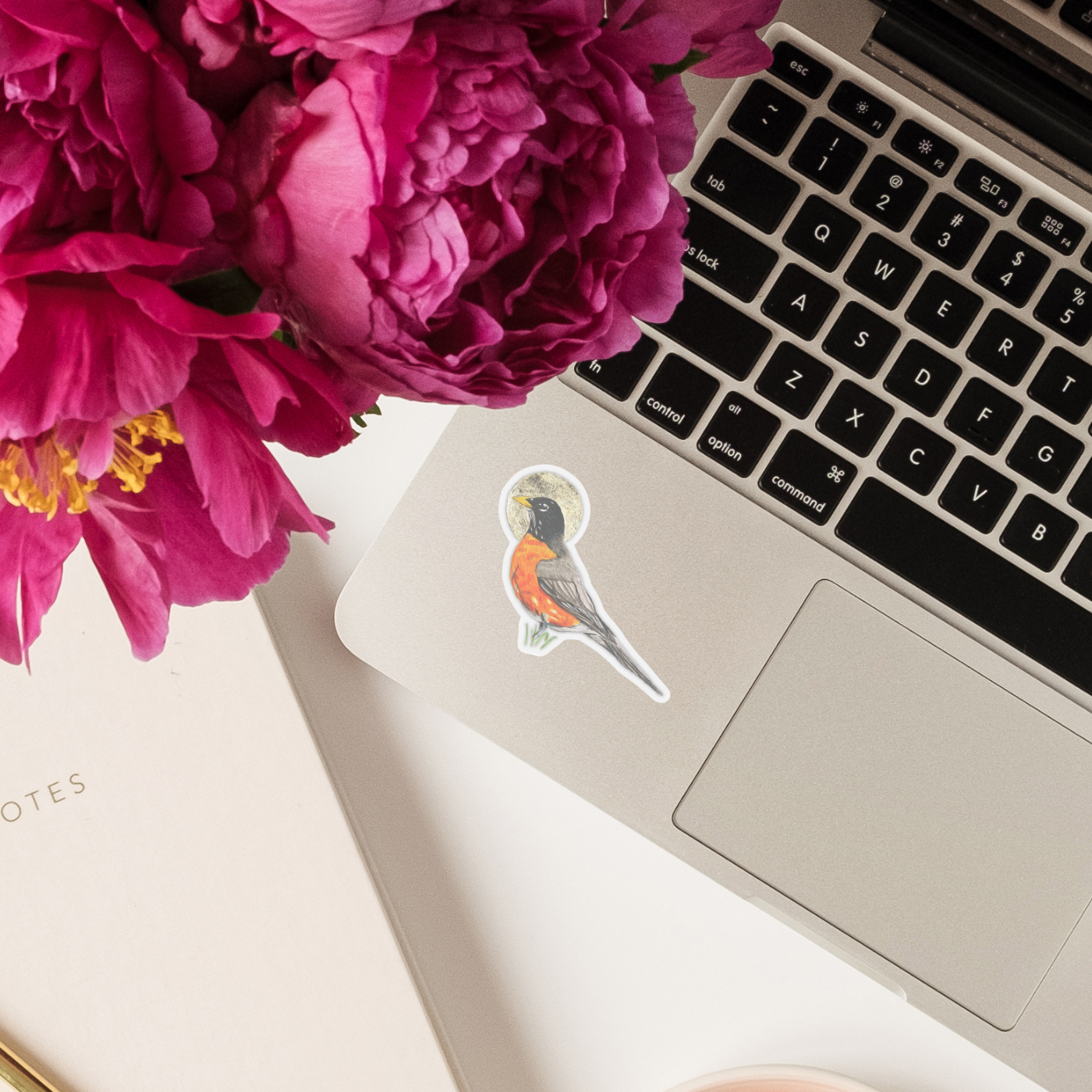 Robin Vinyl Sticker