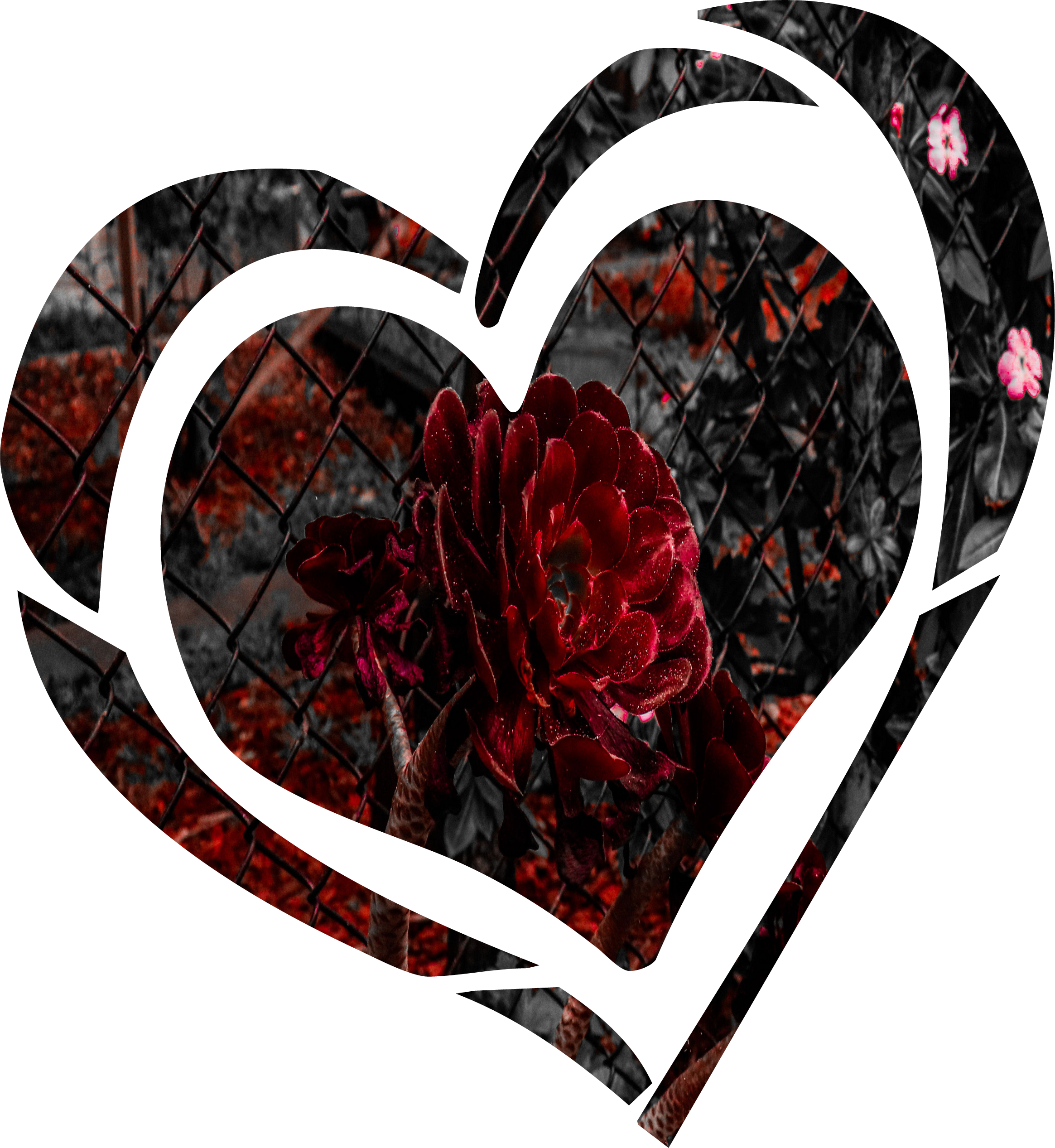 Infant Fine Jersey Bodysuit - Heart Design product thumbnail image Infant Fine Jersey Bodysuit - Heart Design product thumbnail image