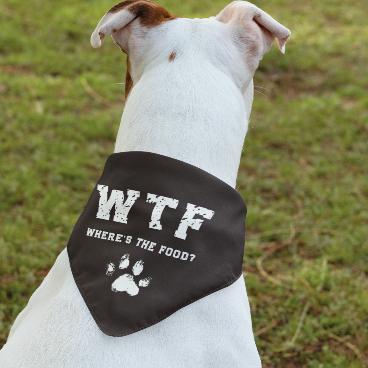 WTF Clip-on Pet Bandana - Perfect for Treat-Motivated Pets! WTF Clip-on Pet Bandana - Perfect for Treat-Motivated Pets!
