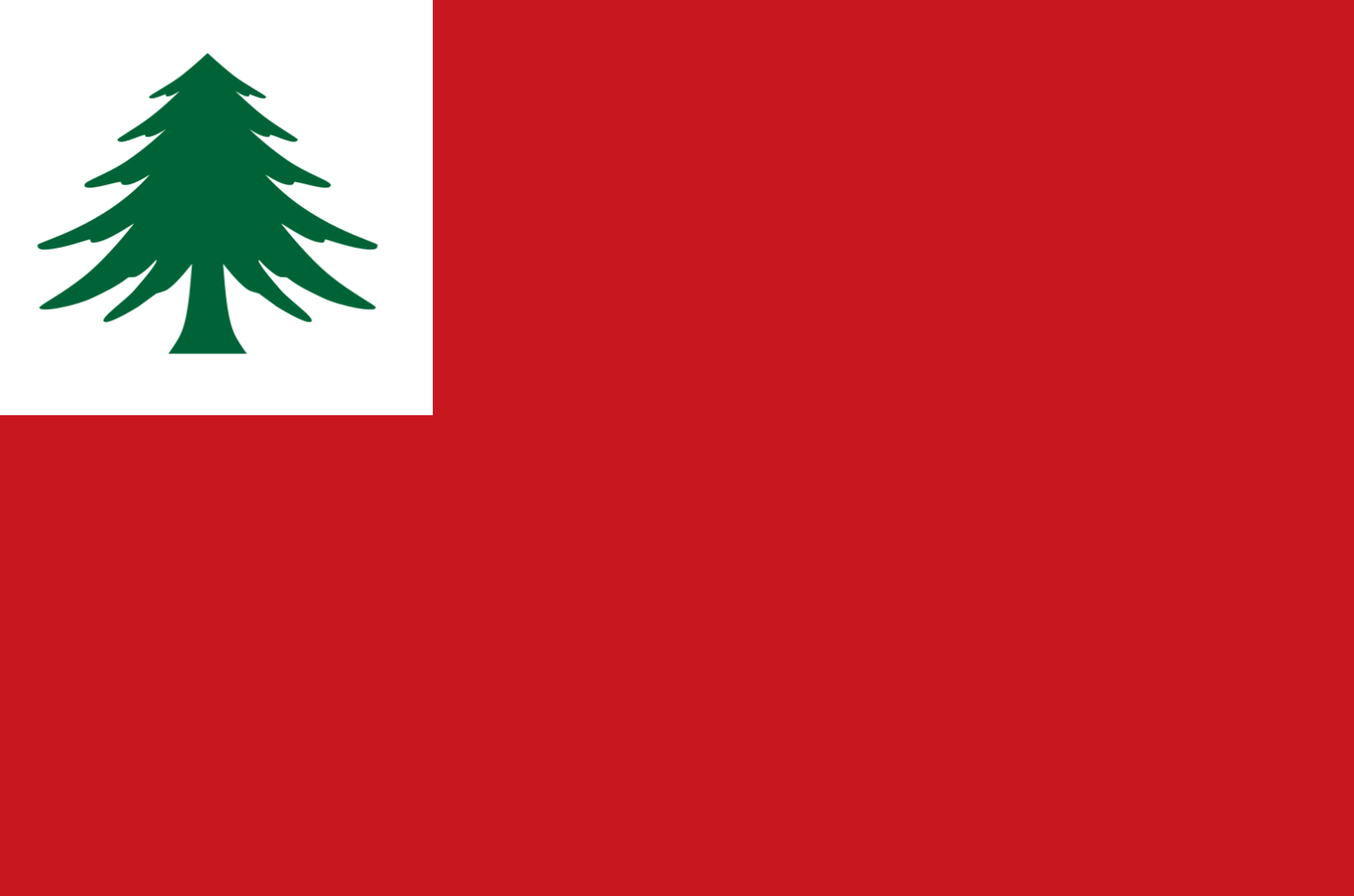 Pine Tree Flag - Double-sided product thumbnail image Pine Tree Flag - Double-sided product thumbnail image