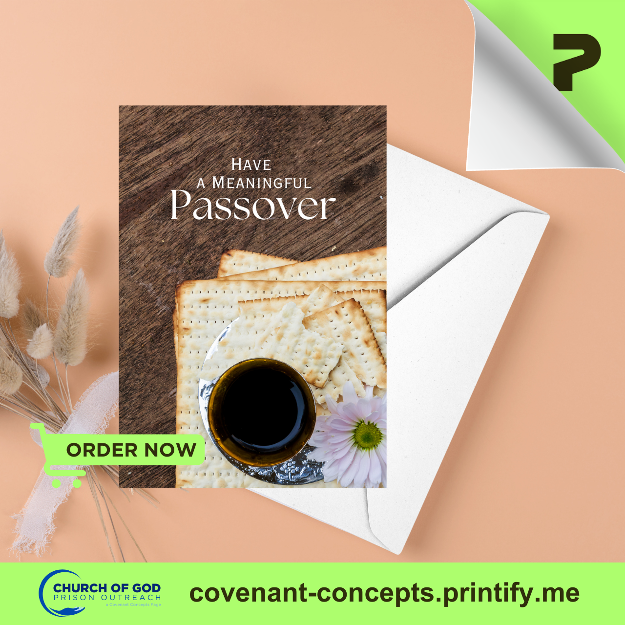 Passover 02 - Holy Day Greeting Card