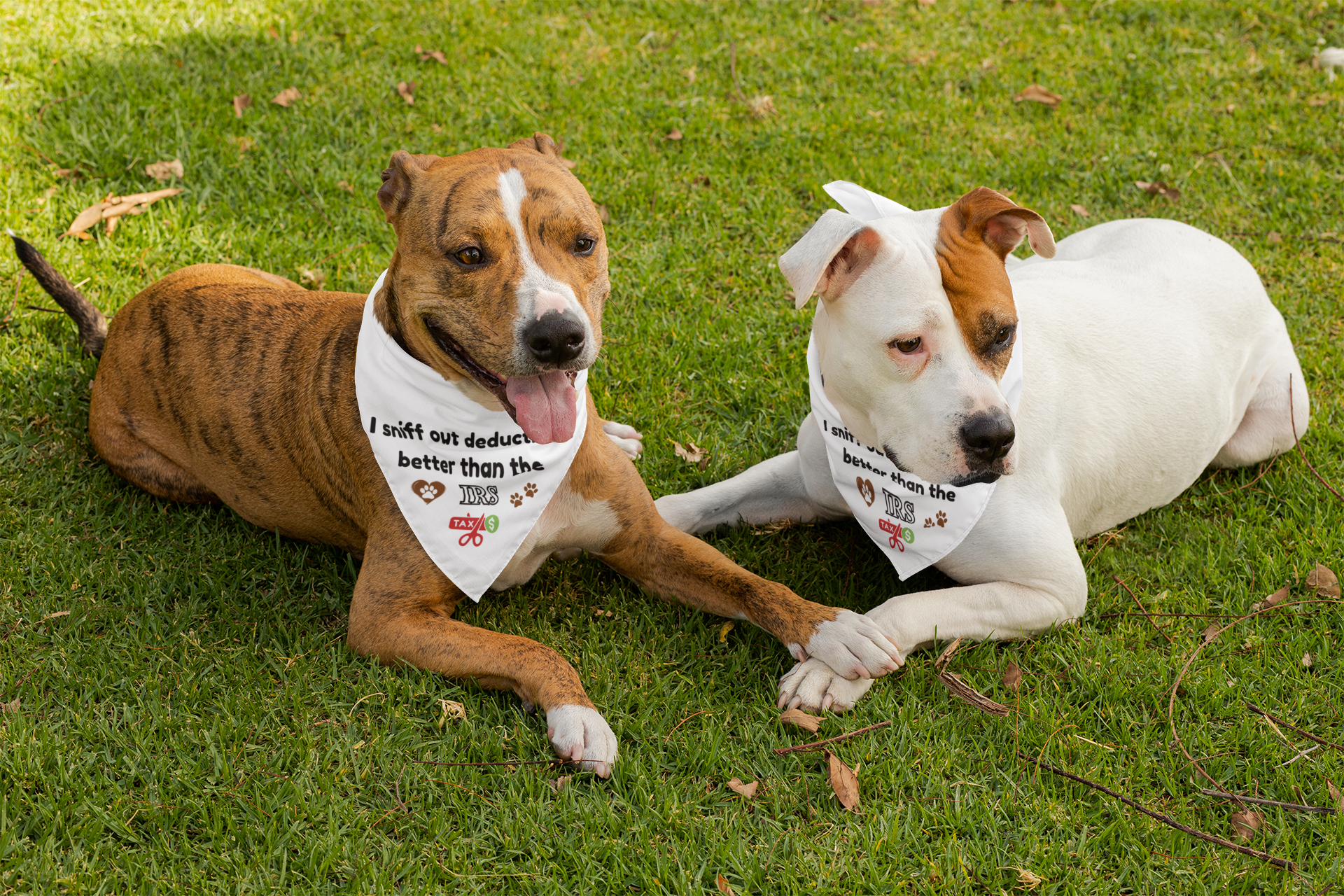 "I Sniff Out Deductions Better Than the IRS" - Funny Clip-on Pet Bandana product thumbnail image "I Sniff Out Deductions Better Than the IRS" - Funny Clip-on Pet Bandana product thumbnail image