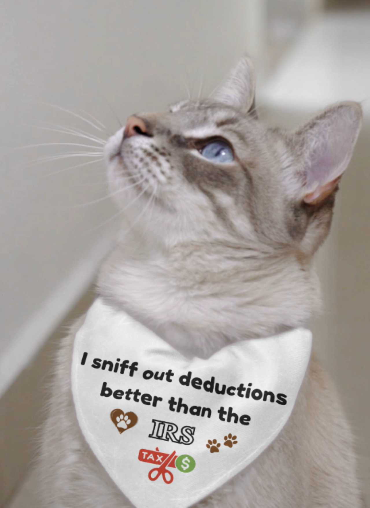 "I Sniff Out Deductions Better Than the IRS" - Funny Clip-on Pet Bandana product thumbnail image "I Sniff Out Deductions Better Than the IRS" - Funny Clip-on Pet Bandana product thumbnail image