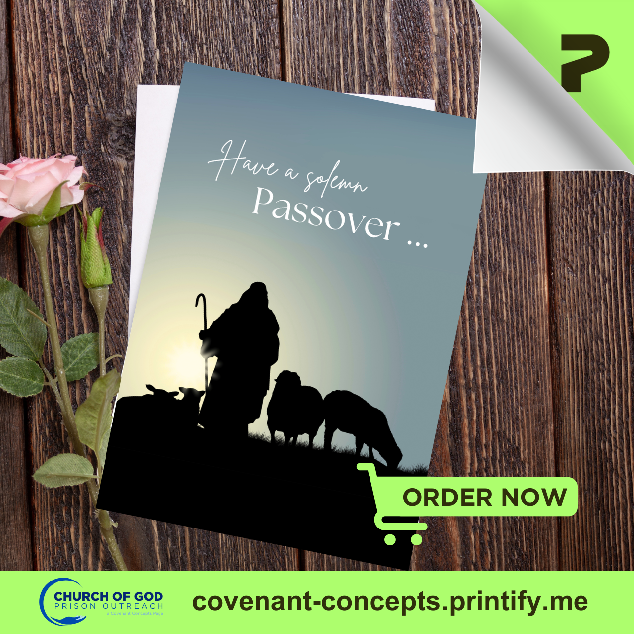 Passover 04 - Holy Day Greeting Card