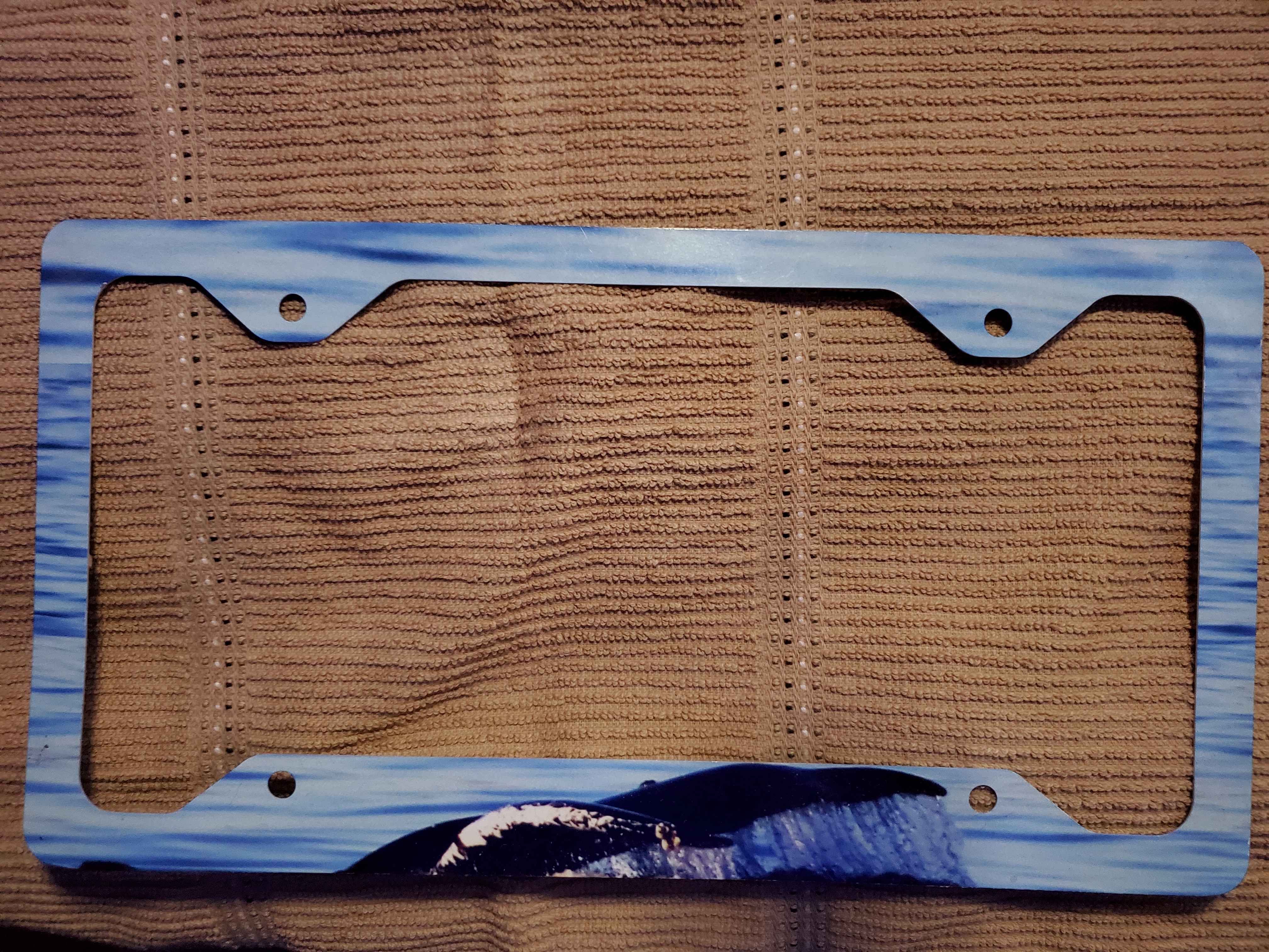 License Plate Frame - Whale Tail Photo Design