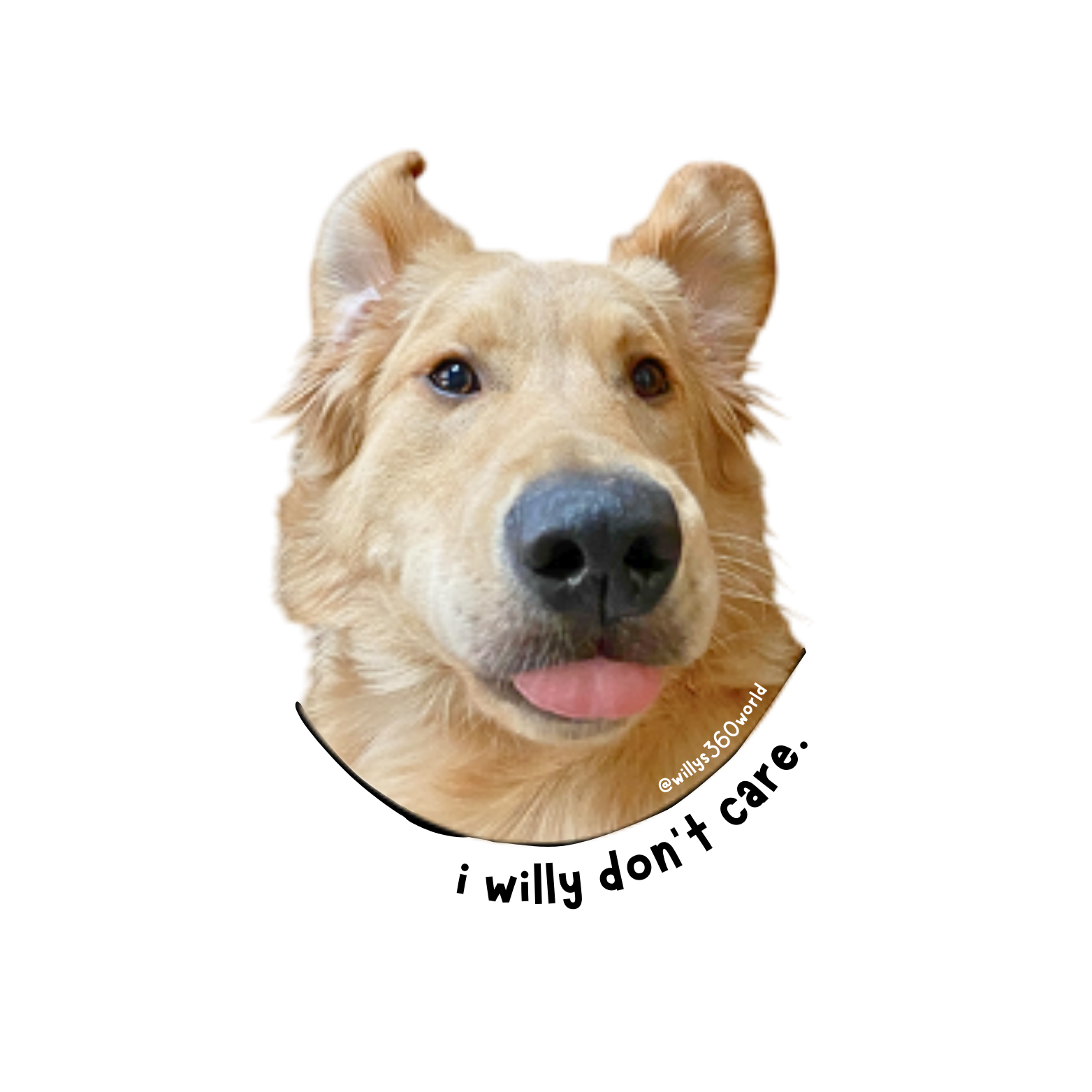 Sticker - "I willy don't care" product thumbnail image