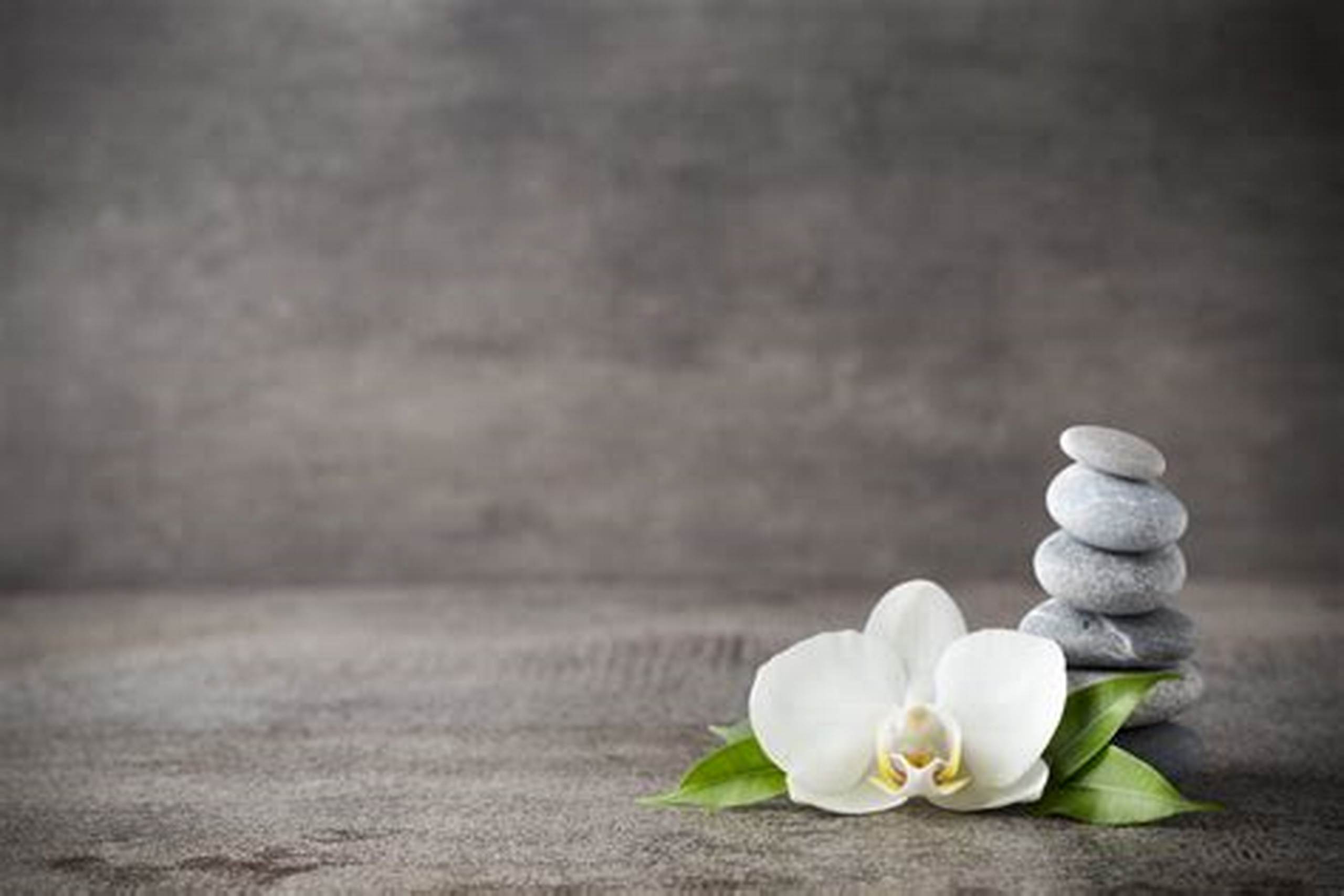 Premium 81 Gold Omega 3 Fish Oil Supplement (60 Softgels) product thumbnail image Premium 81 Gold Omega 3 Fish Oil Supplement (60 Softgels) product thumbnail image