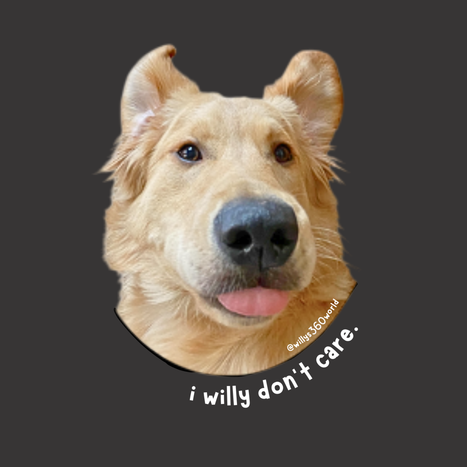 "I willy don't care" - Casual Unisex Cotton Crew Tee product thumbnail image "I willy don't care" - Casual Unisex Cotton Crew Tee product thumbnail image