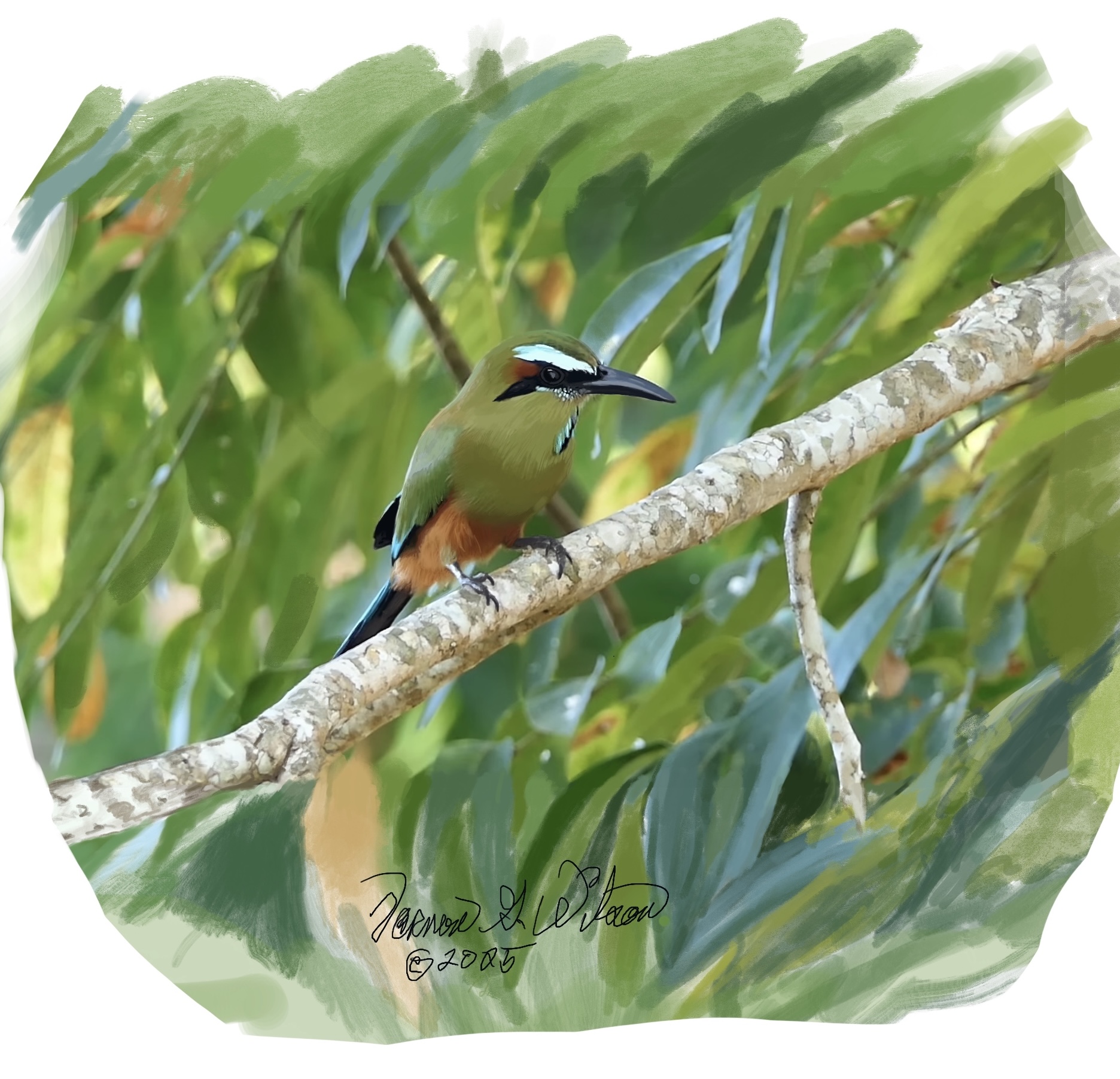 Canvas Wall Art - Vibrant Tropical Bird Print, Colorful Home Decor, Nature Lover Gift, Wildlife Art, Jungle Themed Decoration product thumbnail image Canvas Wall Art - Vibrant Tropical Bird Print, Colorful Home Decor, Nature Lover Gift, Wildlife Art, Jungle Themed Decoration product thumbnail image