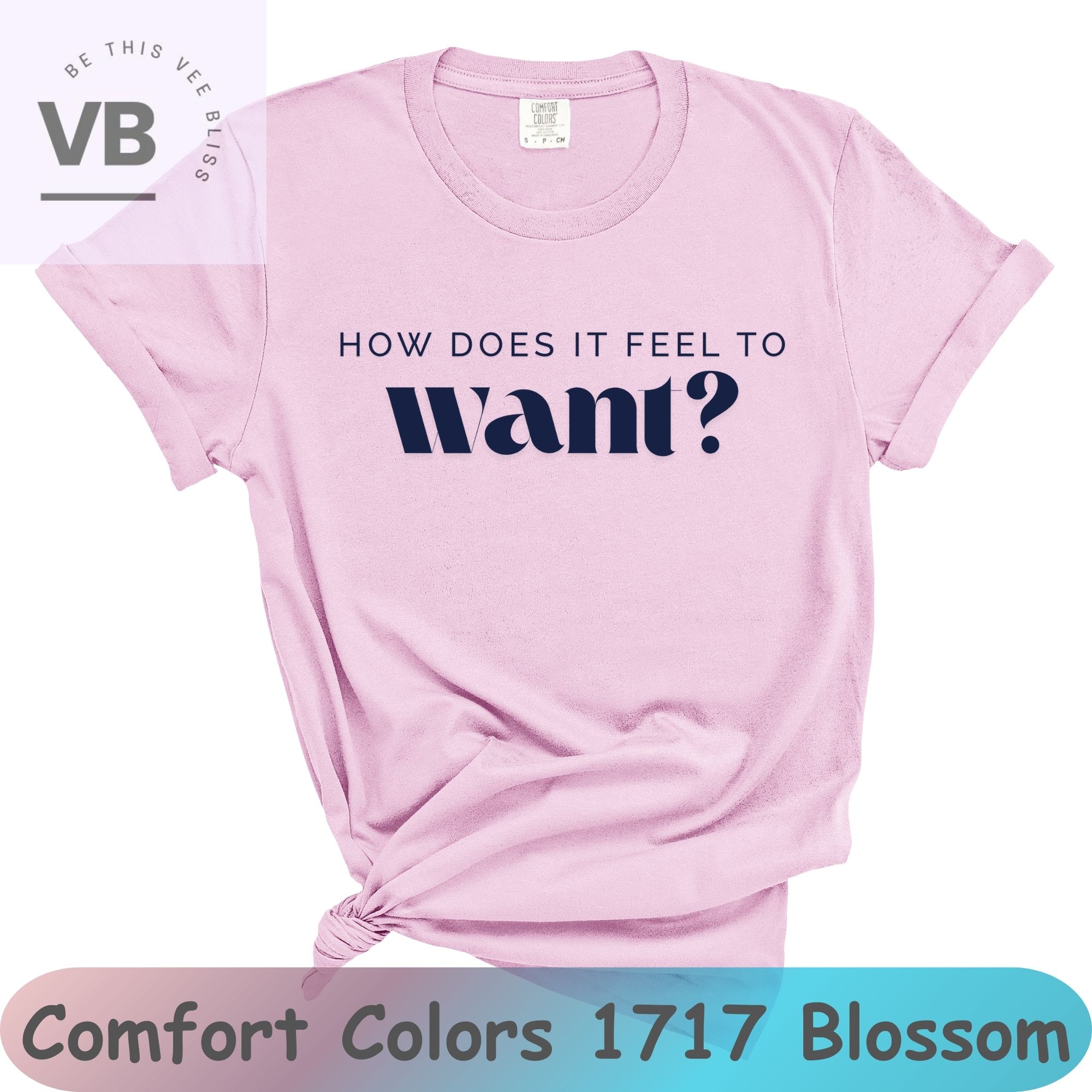 How Does It Feel To Want? Unisex Comfort Colors Garment-Dyed T-Shirt, Funny Text Only Shirt, Unique Apparel Gift  product thumbnail image