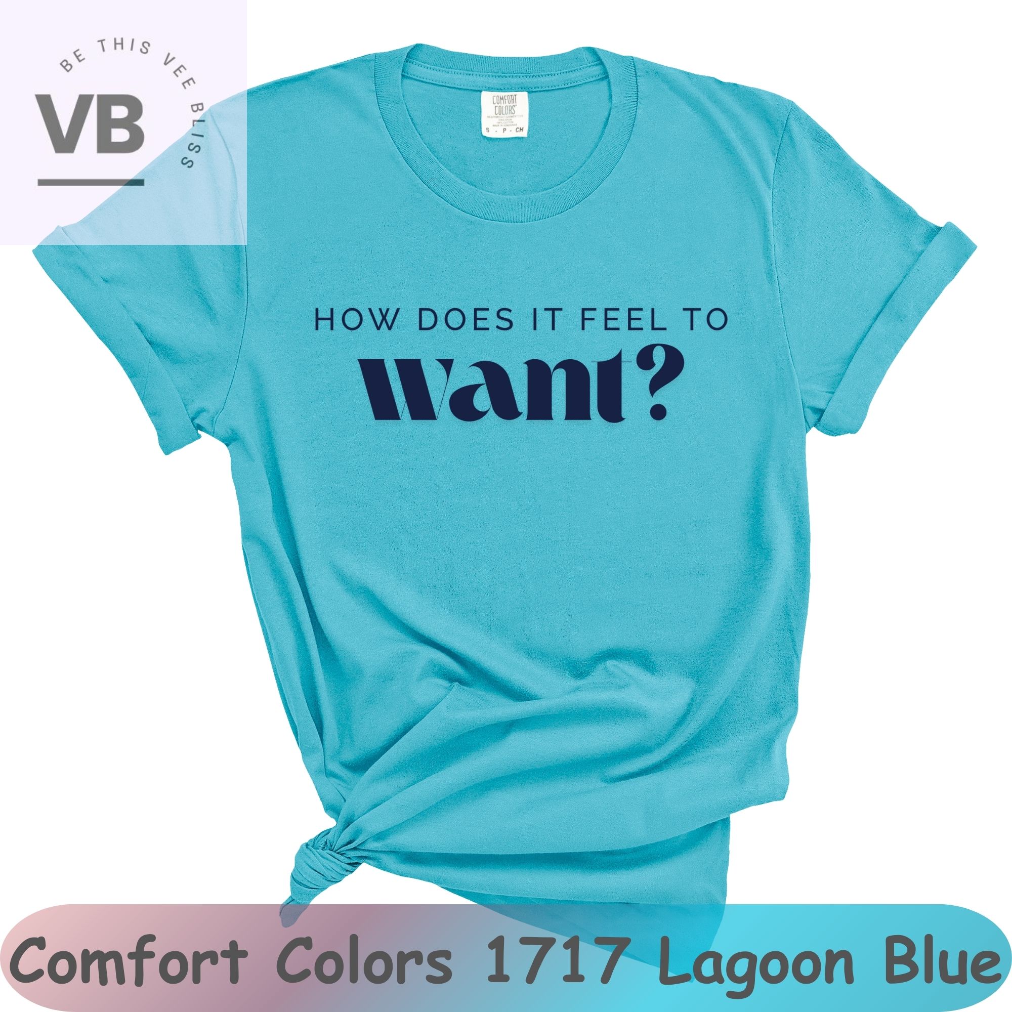 How Does It Feel To Want? Unisex Comfort Colors Garment-Dyed T-Shirt, Funny Text Only Shirt, Unique Apparel Gift  product thumbnail image