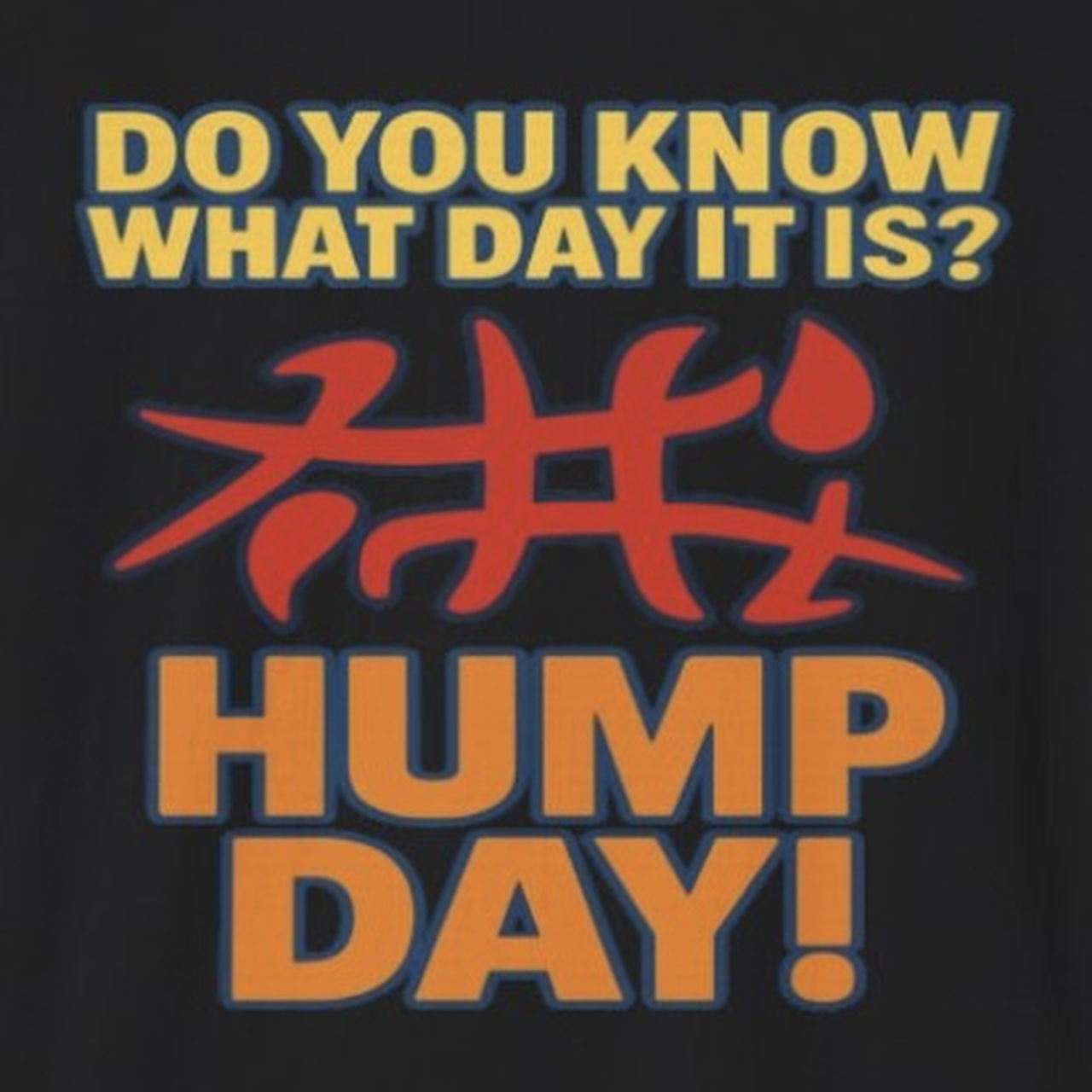 Do You Know What Day It Is? Hump Day Shirt – Funny Adult Midweek Humor Tee product thumbnail image