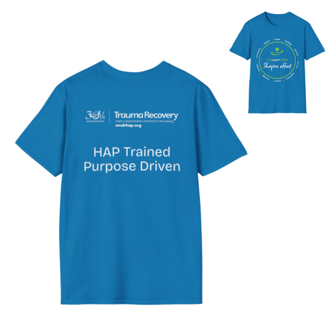 Training Participants: Shapiro Effect T-Shirt Training Participants: Shapiro Effect T-Shirt