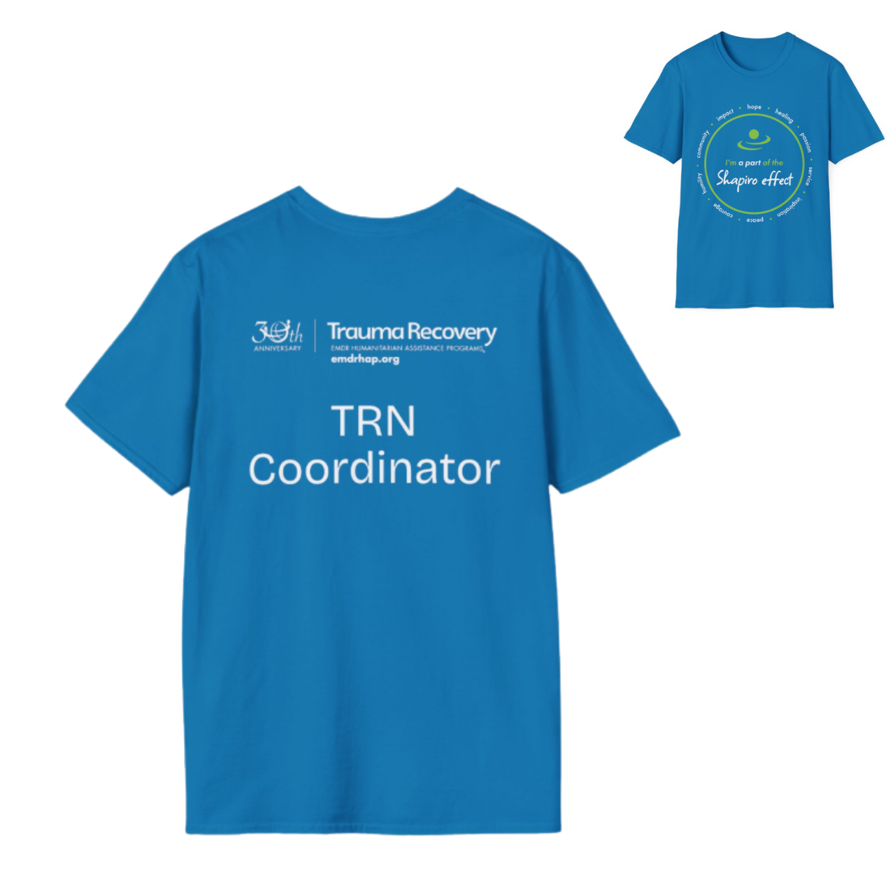 TRN Coordinator: Shapiro Effect T-Shirt product thumbnail image TRN Coordinator: Shapiro Effect T-Shirt product thumbnail image