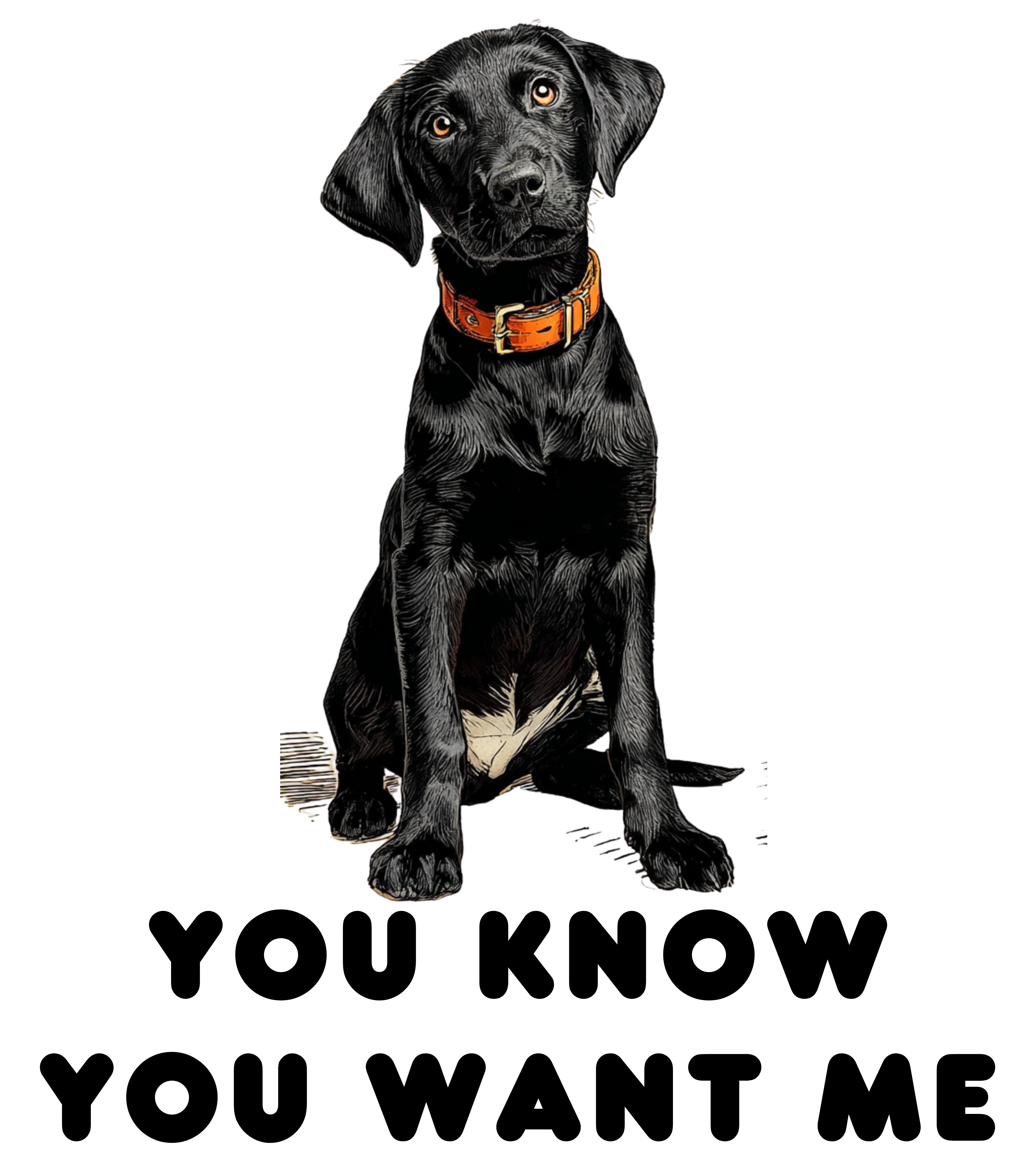 Black Lab sits wants on me T-Shirt - You Know You Want Me, Casual Tee, T-Shirt lover of Food, Beer, and Wine product thumbnail image Black Lab sits wants on me T-Shirt - You Know You Want Me, Casual Tee, T-Shirt lover of Food, Beer, and Wine product thumbnail image