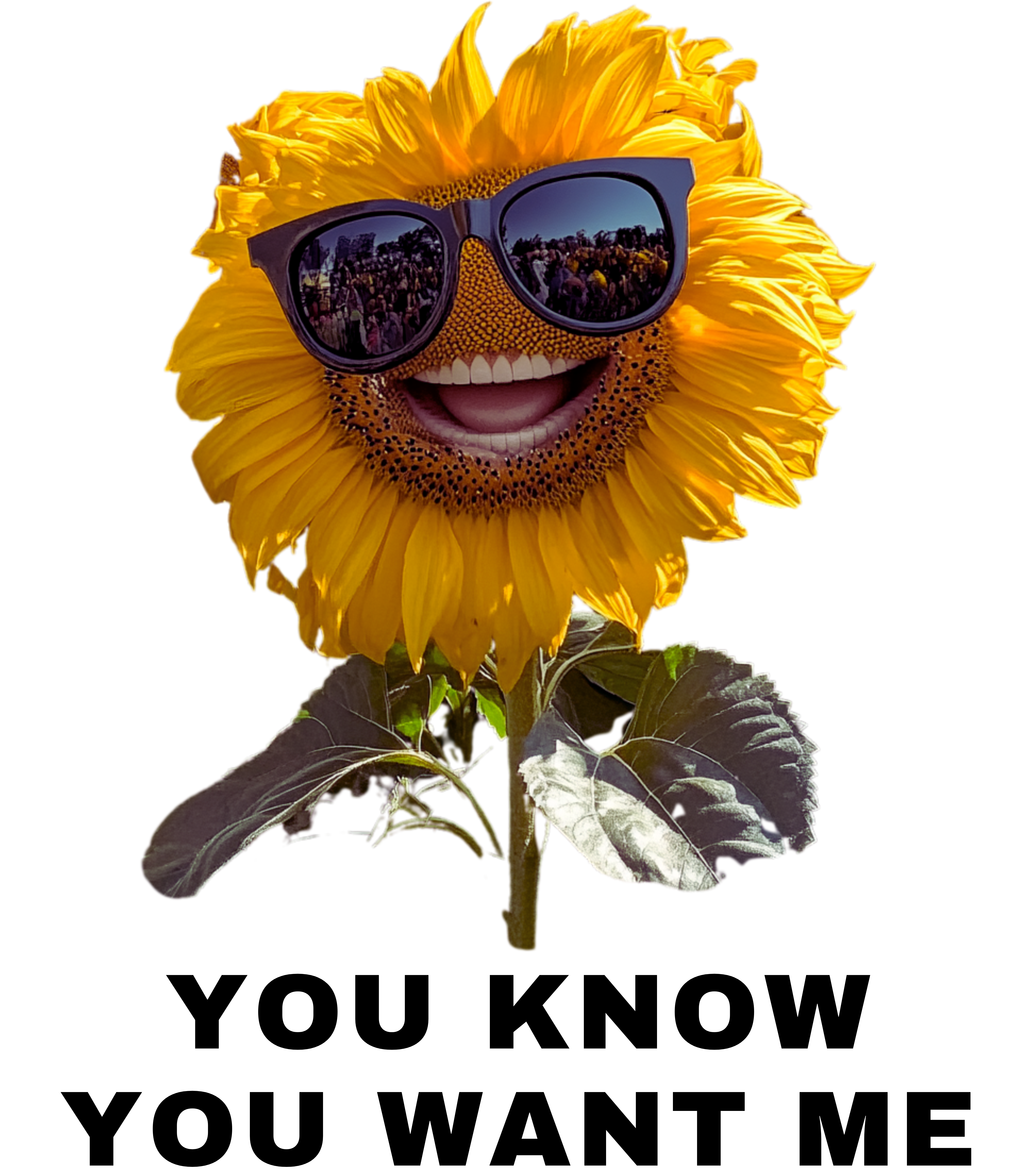 Cool Sunglasses Sunflower Wants Me Casual Graphic You Know You Want Me Tee with Quirky Design, Unisex T-Shirt, Perfect for Everyday Wear, Gift for Animal Lovers, Ideal for Birthdays, Casual [...]