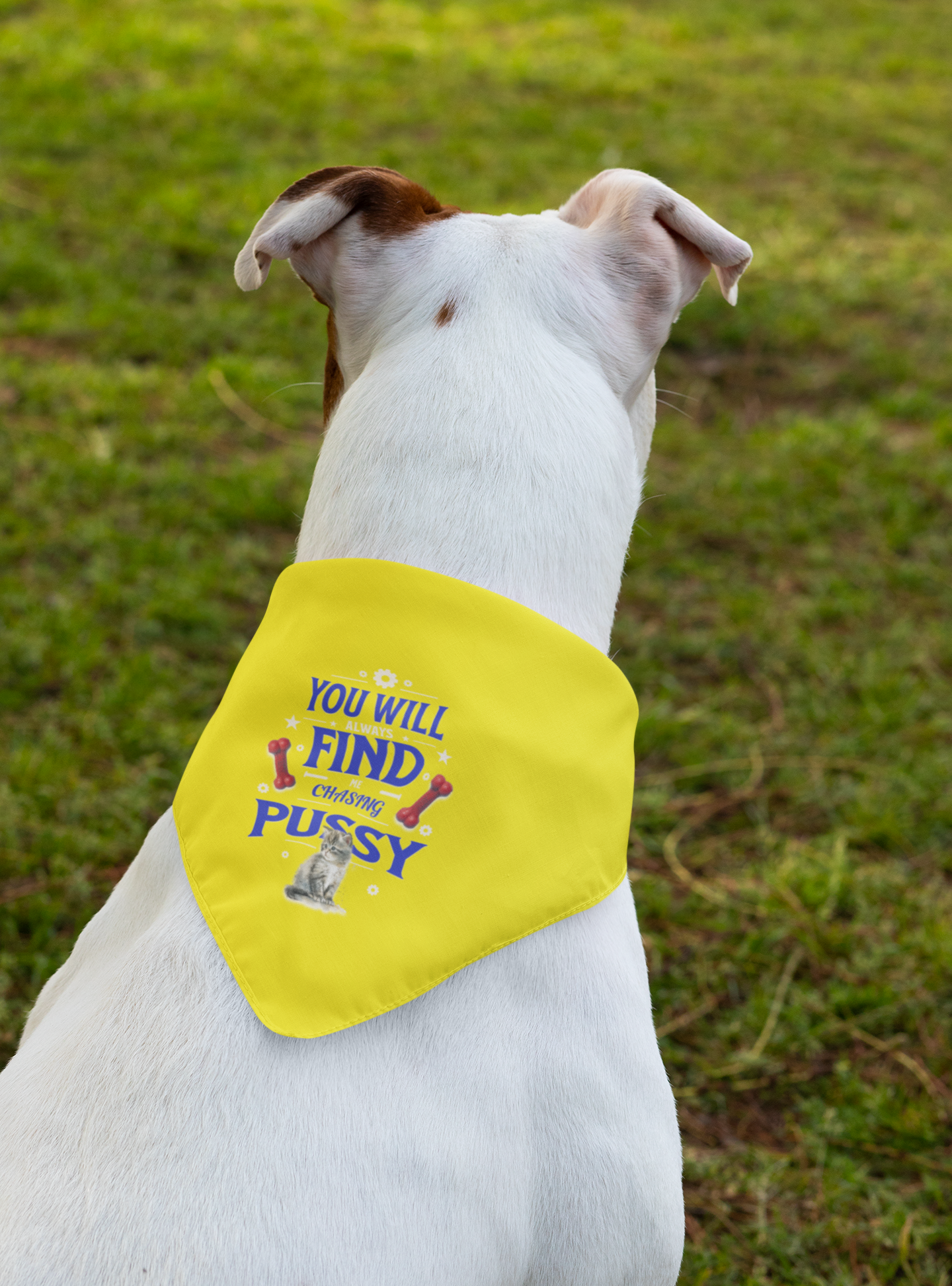 Playful Clip-on Pet Bandana for Pets, Funny Dog Bandana, Funny Pet Costume, Gift for Pet Lovers, Cute Pet Wear, You Will Find Me Chasing product thumbnail image Playful Clip-on Pet Bandana for Pets, Funny Dog Bandana, Funny Pet Costume, Gift for Pet Lovers, Cute Pet Wear, You Will Find Me Chasing product thumbnail image